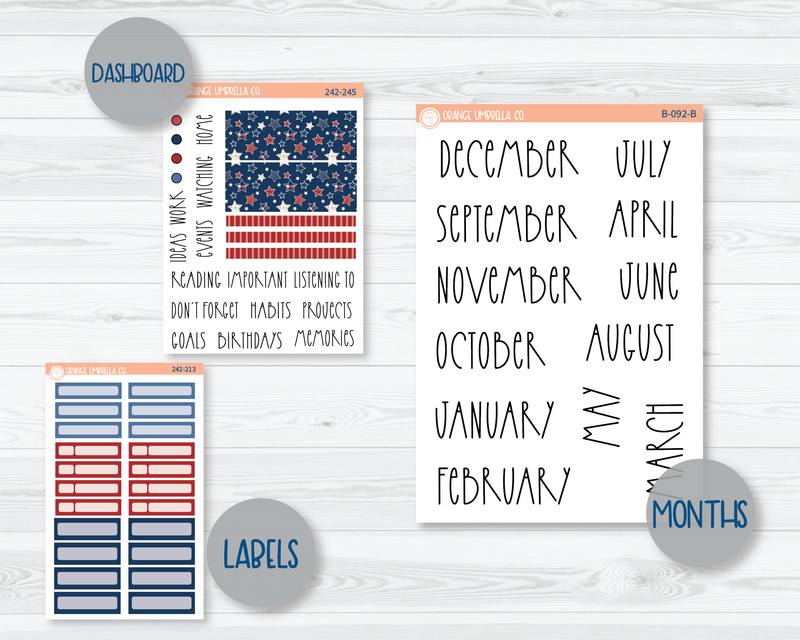 CLEARANCE | A5 EC Dashboard Monthly Planner Kit Stickers | Land That I Love 242-241