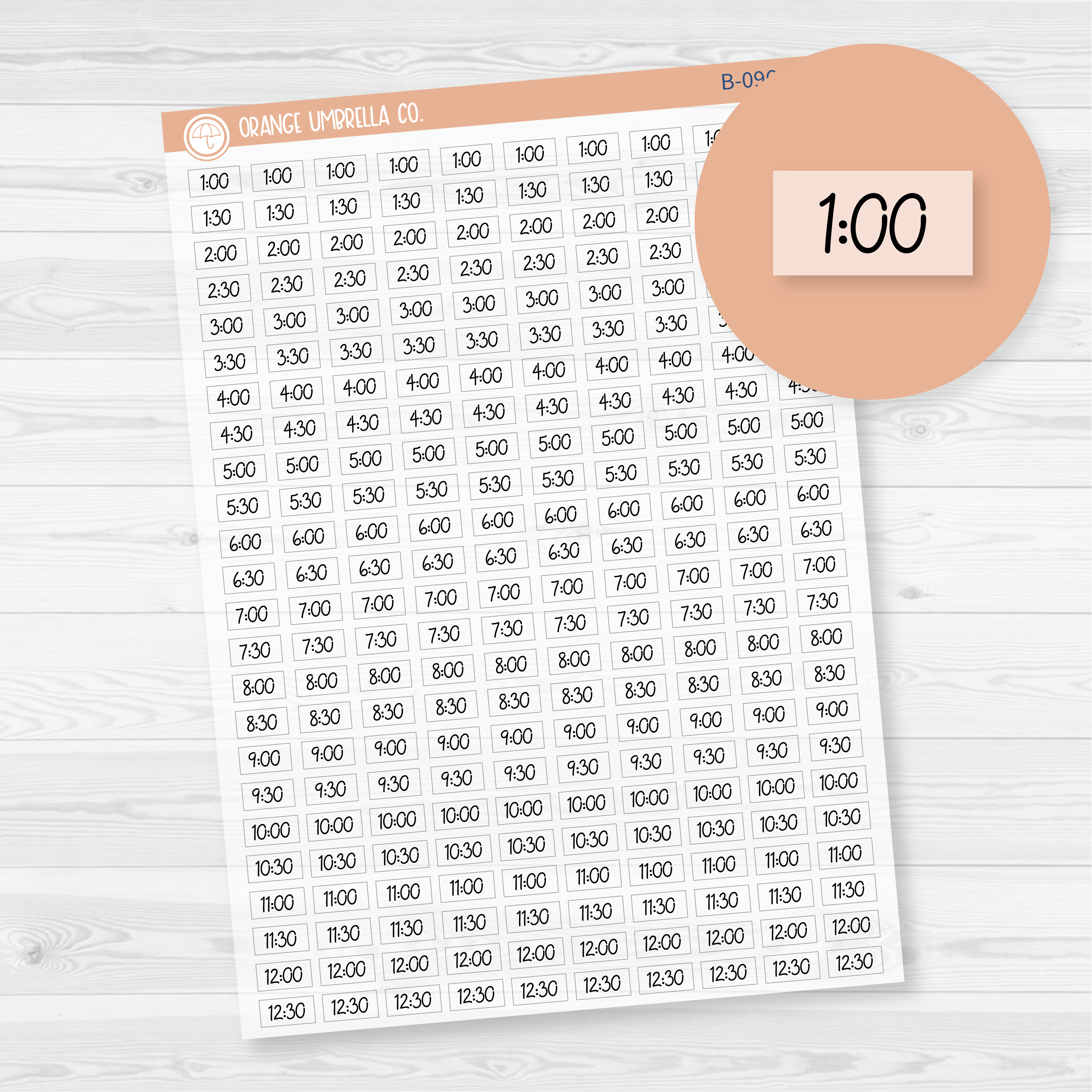CLEARANCE | Time - 30 Minute/Half Hour Script Planner Stickers | FC12 Clear Matte | B-096-BCM