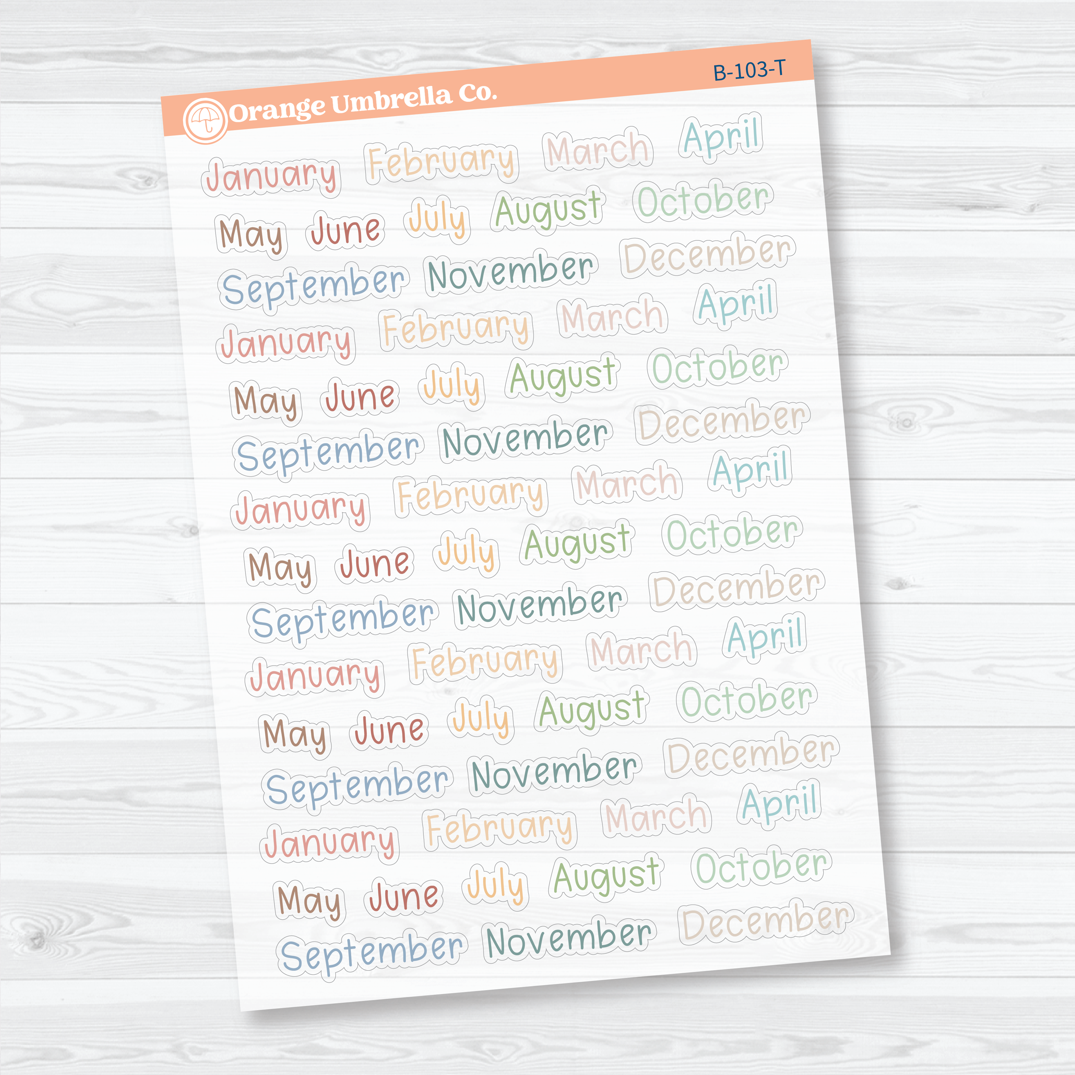 Months Clear Matte Planner Stickers | Tiny Julie’s Plans Month Stickers | B-103-CM