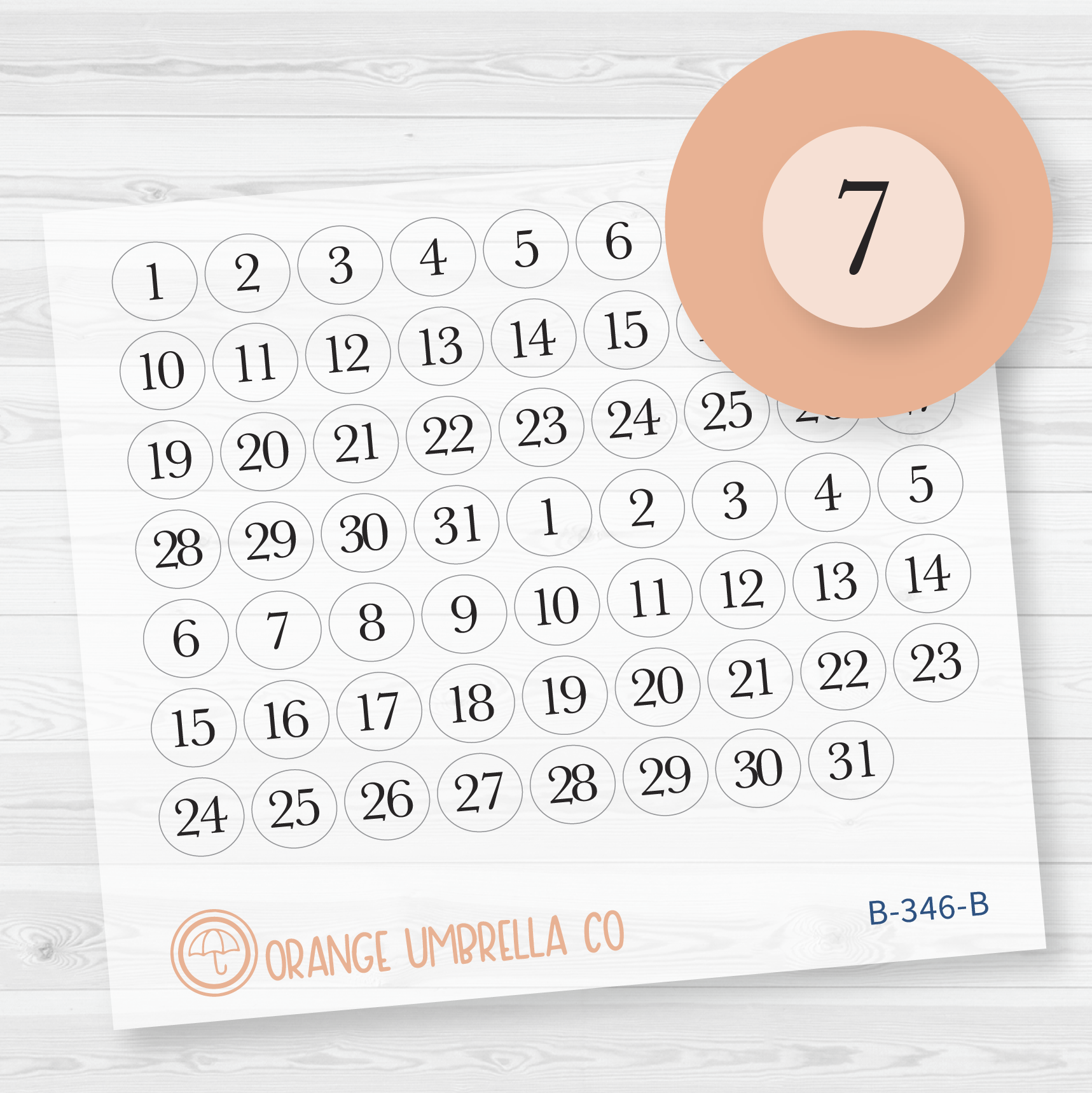 Date Dot Cover Script Planner Stickers | Circle Clear Matte | B-346-BCM
