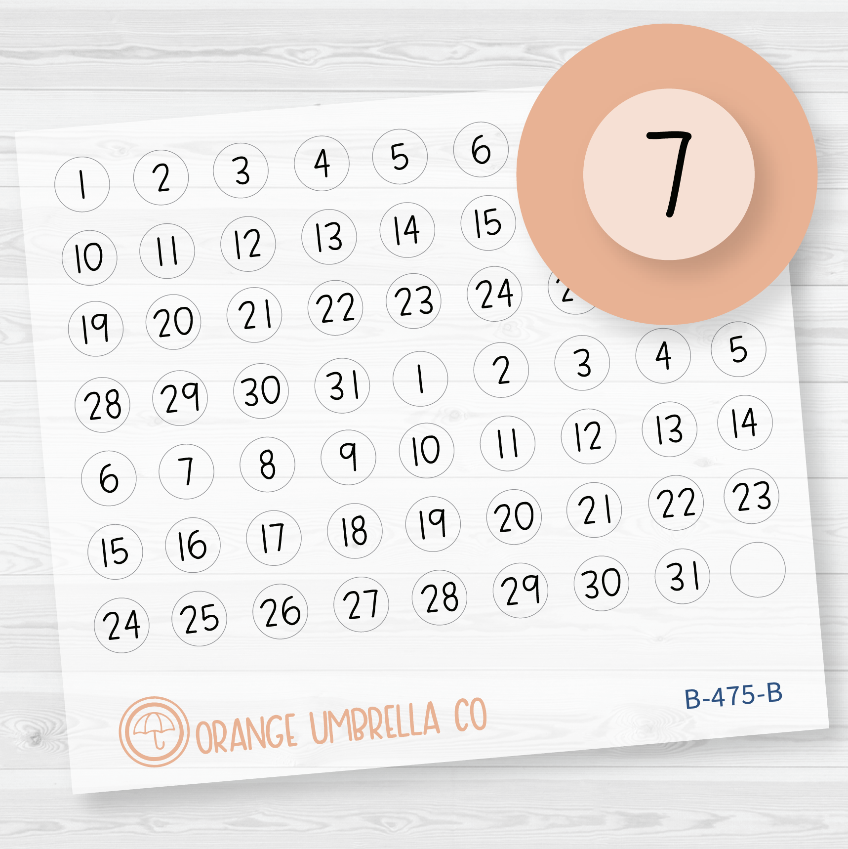 CLEARANCE | Date Dot Cover Julie's Plans Tiny Planner Stickers | JF Clear Matte Circle | B-475-BCM