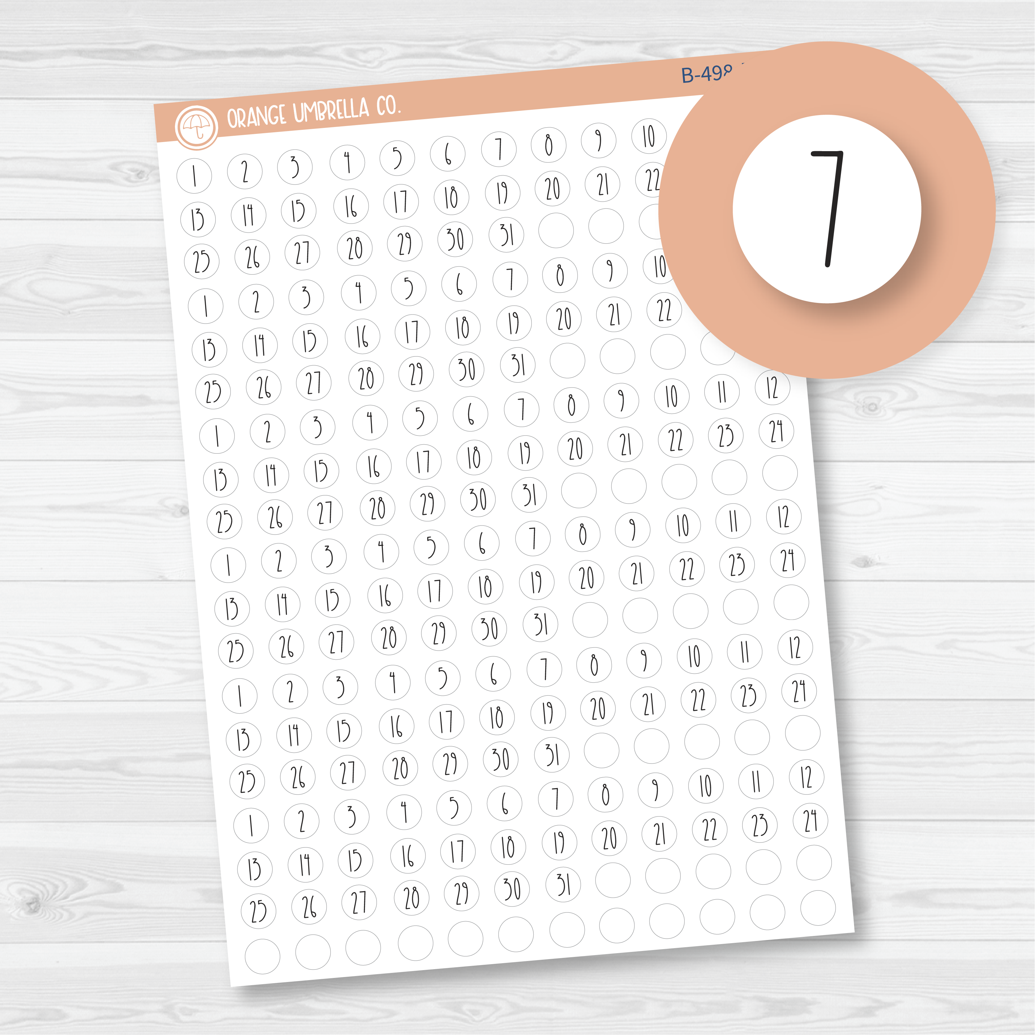 CLEARANCE | 6 Months of Tiny Date Dot Covers Planner Stickers | FC12 Print Circle | B-498-B