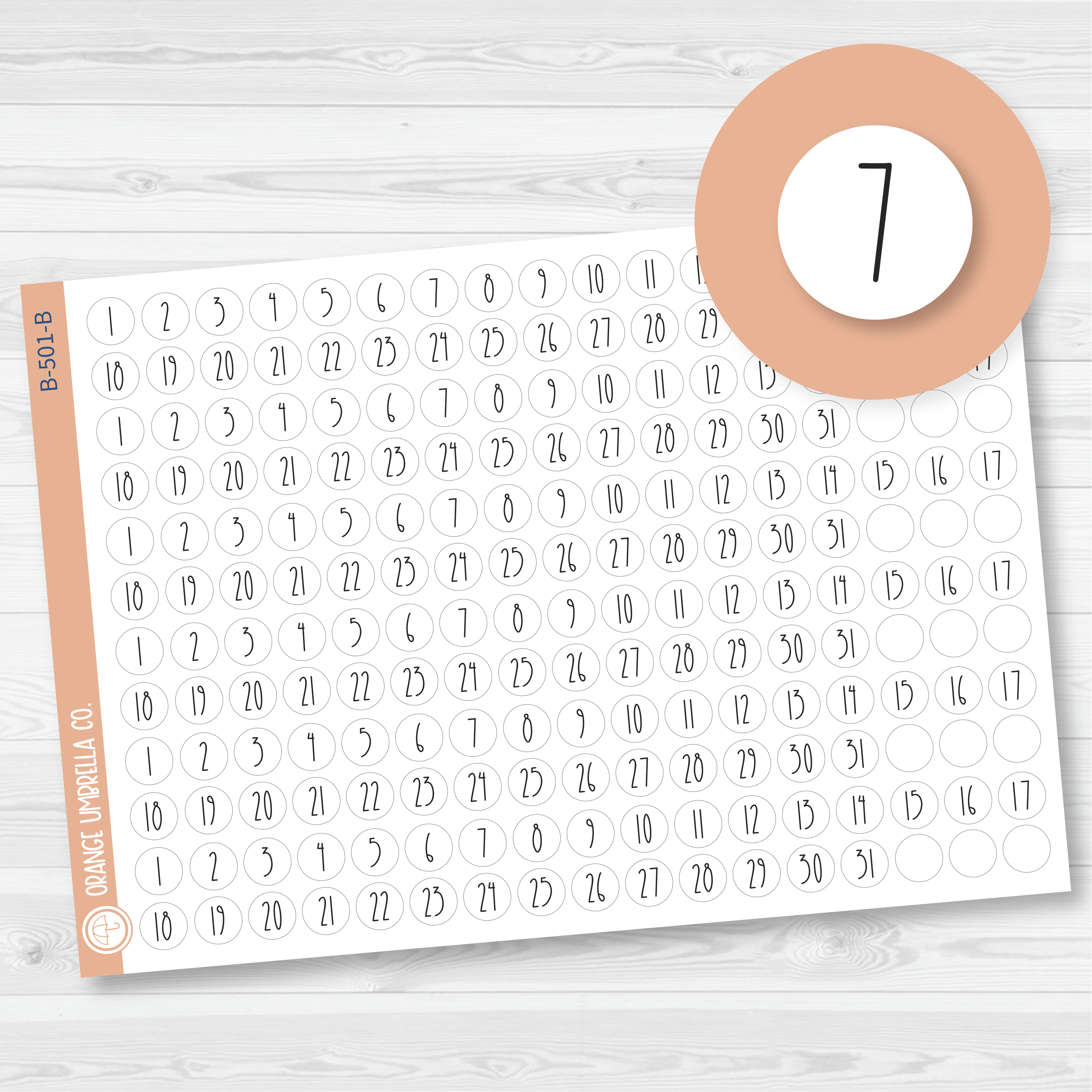 CLEARANCE | 6 Months of Date Dot Covers Planner Stickers | FC12 Print Circle | B-501-B