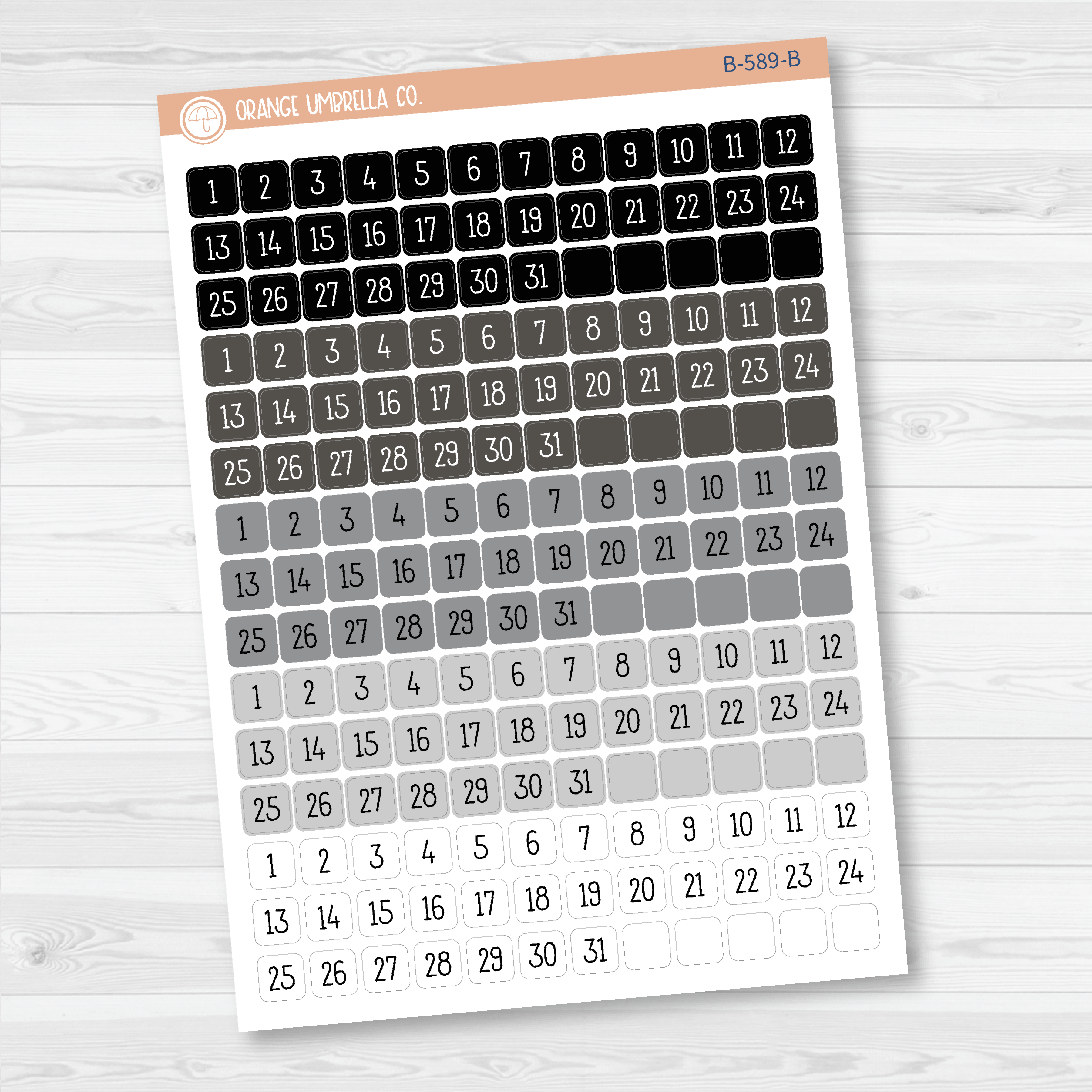 CLEARANCE | Date Dots - 5 Months Planner Stickers | Square F16 Print | B-589
