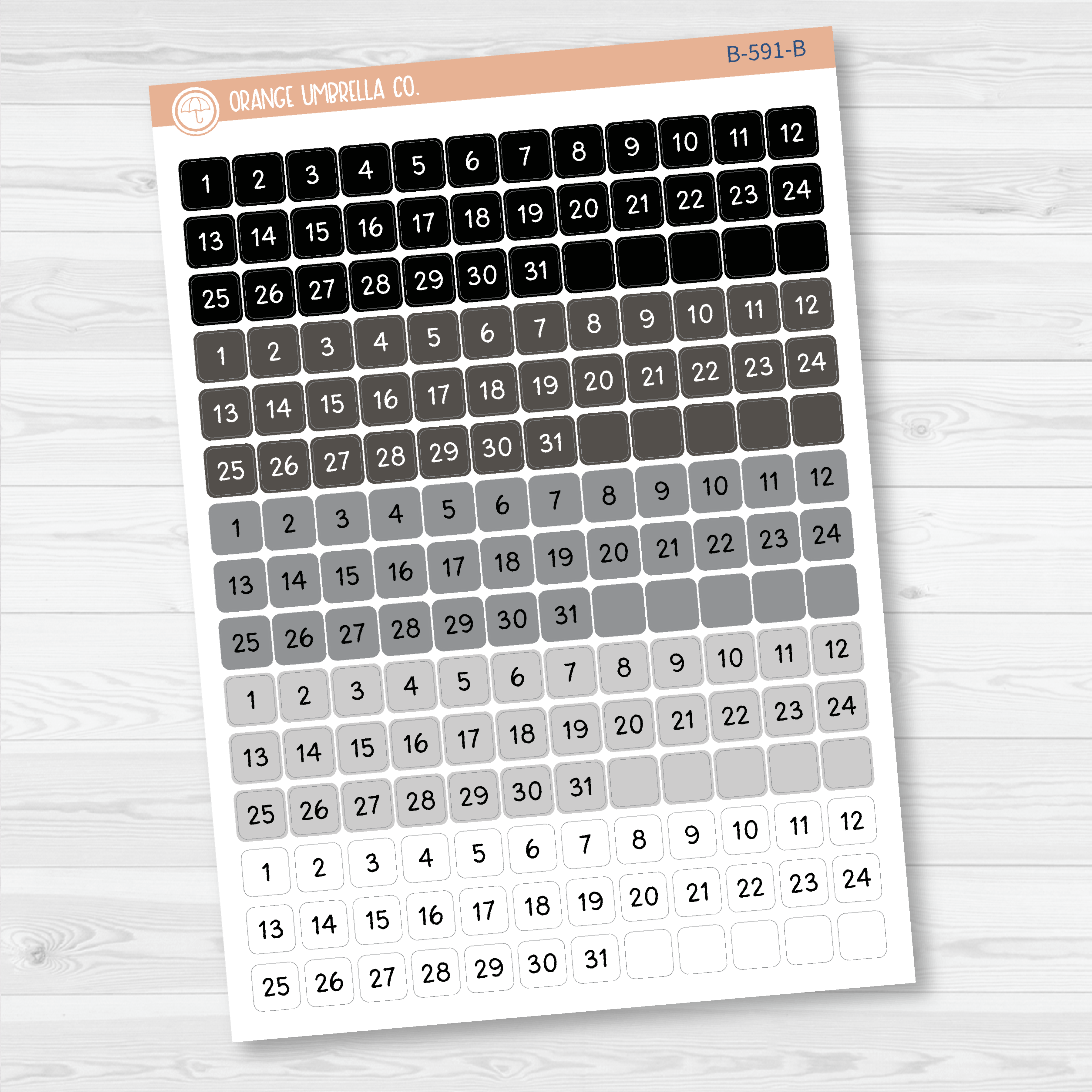 Date Dots - 5 Months Planner Stickers | Square F16 Script | B-591