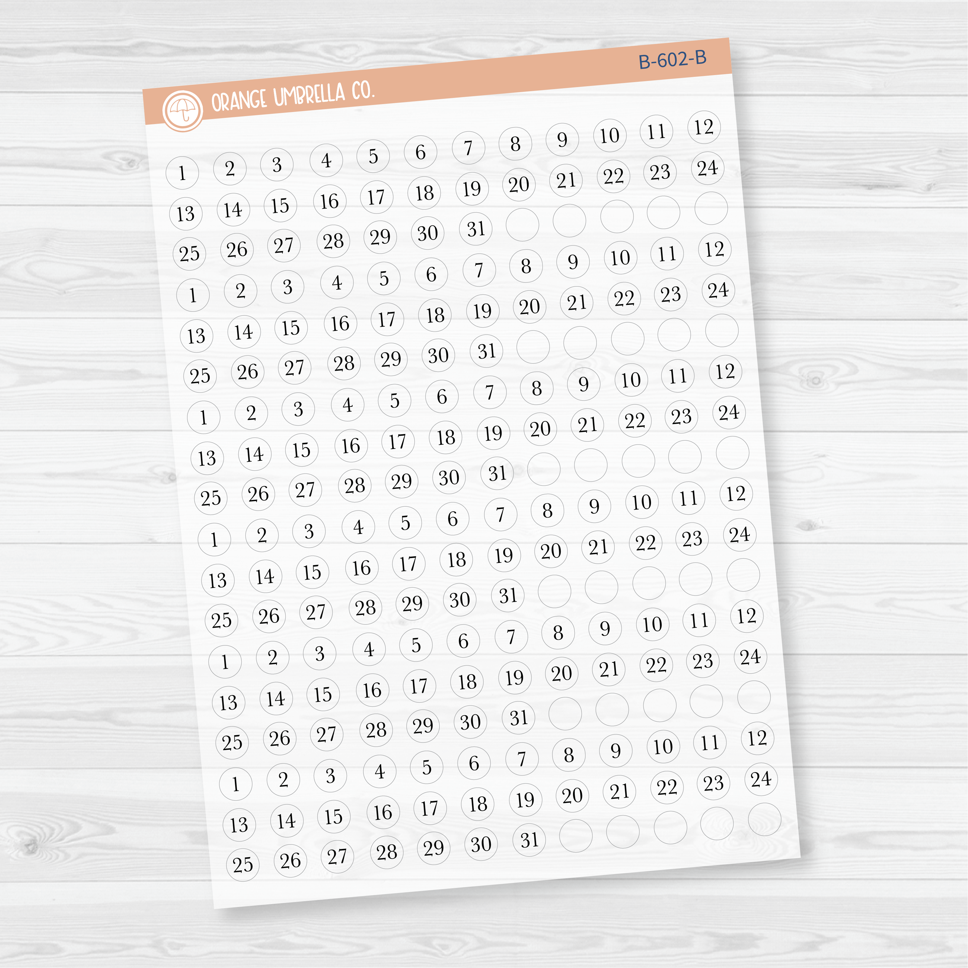 6 Months of Mini Date Dot Covers Planner Stickers | B-601-B-602