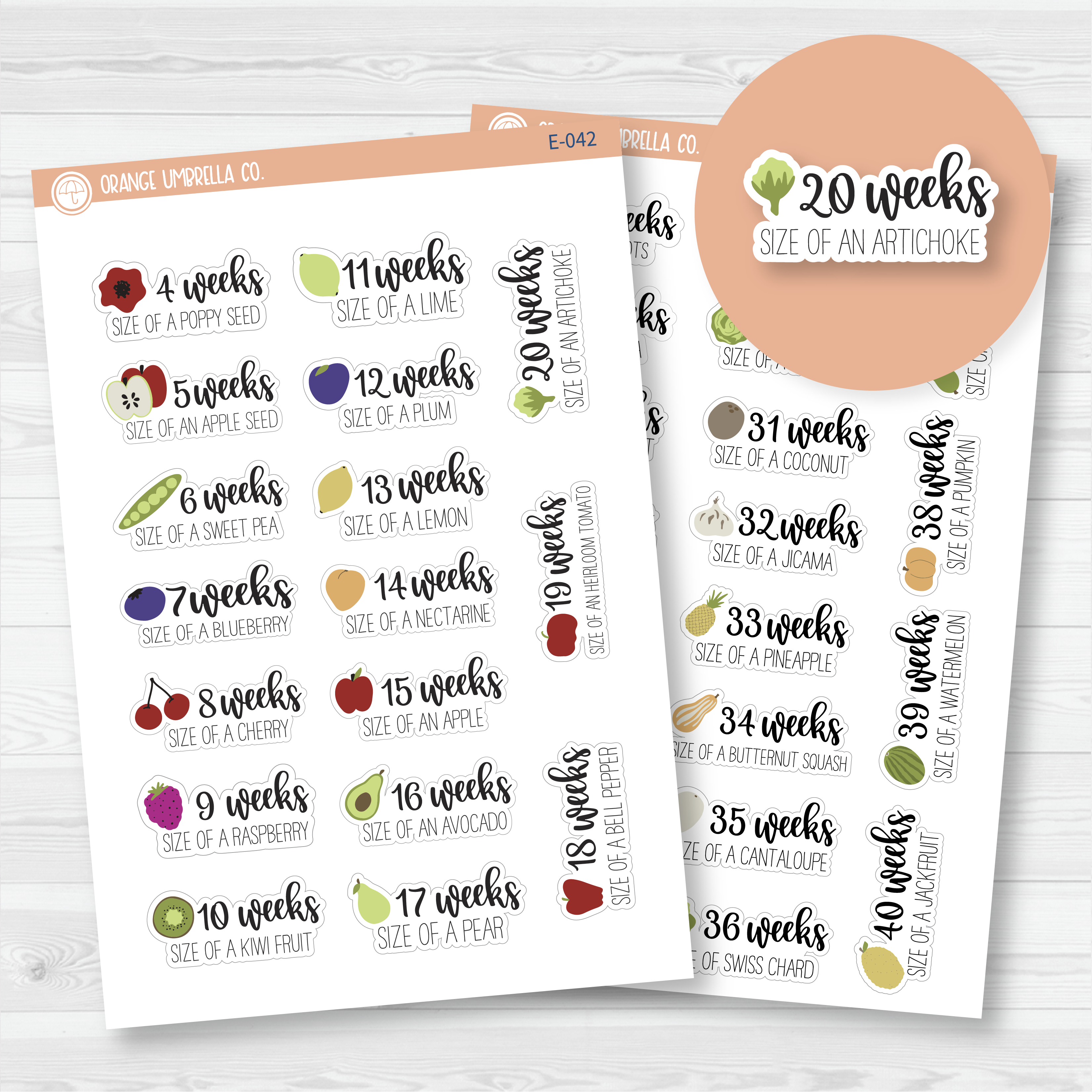 Week of Pregnancy / Baby Growth / Baby Is Size Of... Icon Script Planner Stickers | E-042 -E-043