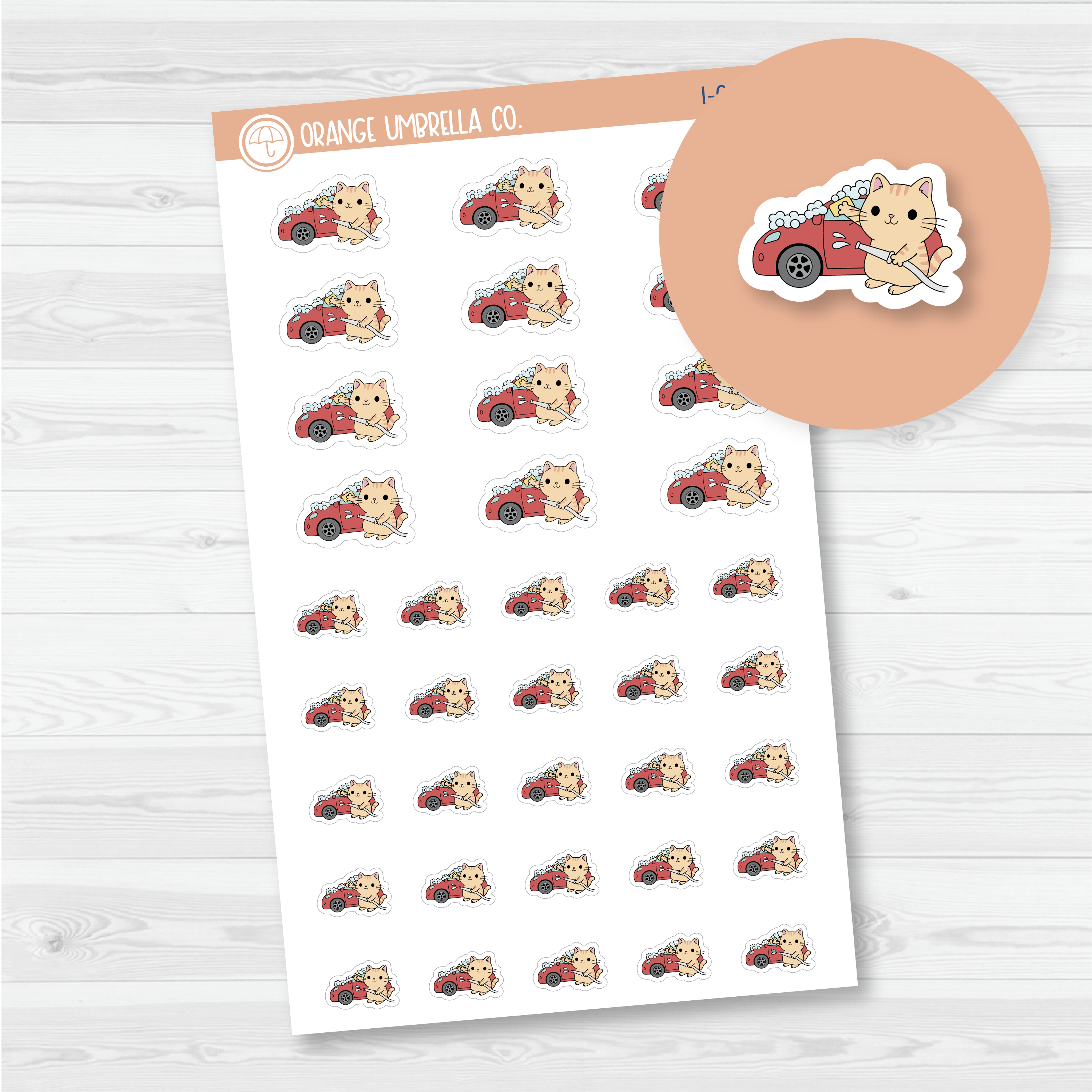 Spazz Cat Wash the Car Icon Planner Stickers | I-066