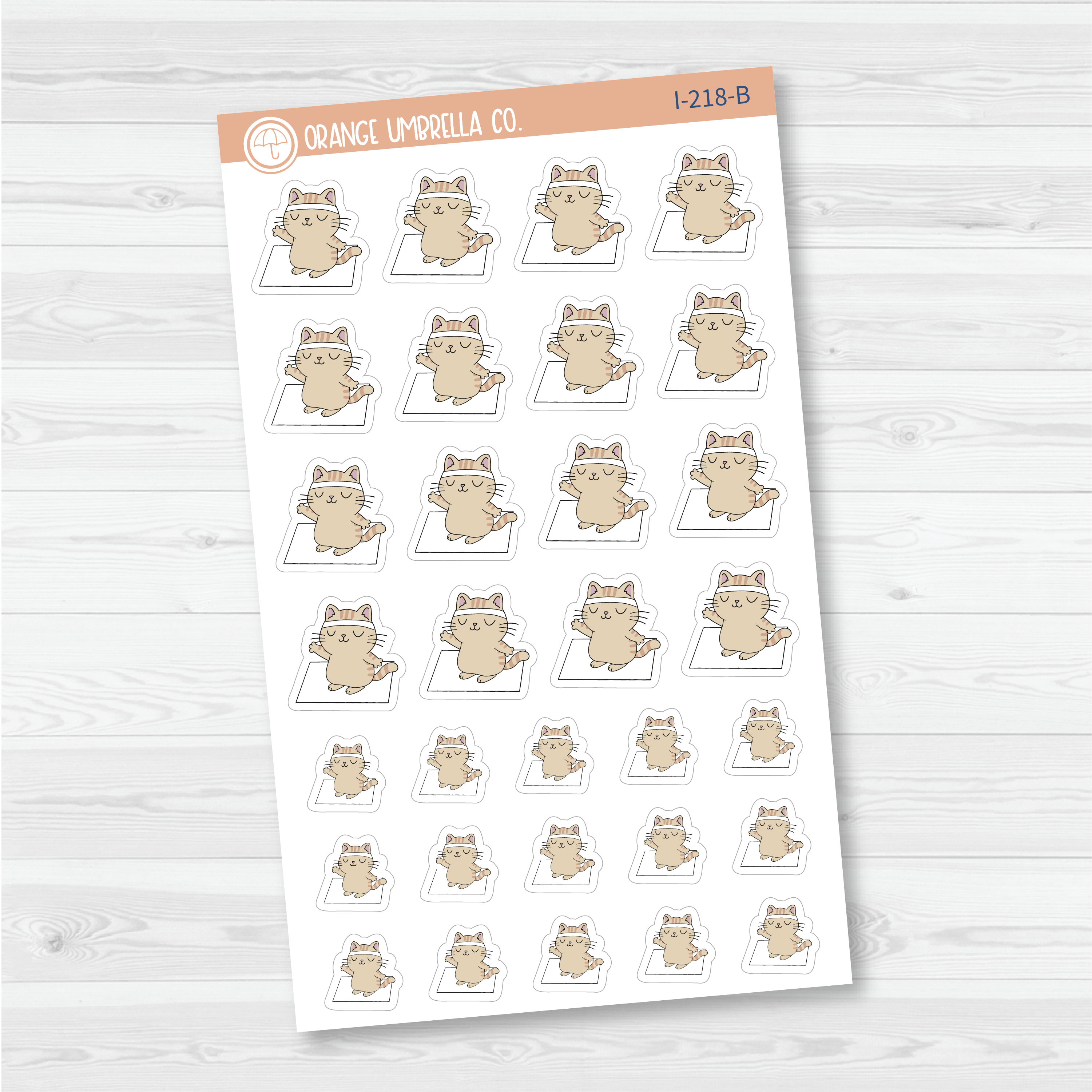 Spazz Cat Yoga Workout Icon Planner Stickers | I-218