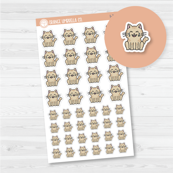 Spazz Cat Happy Crying Icon Planner Stickers | I-311