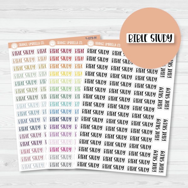 CLEARANCE | Bible Study Script Planner Stickers | F1 | S-079