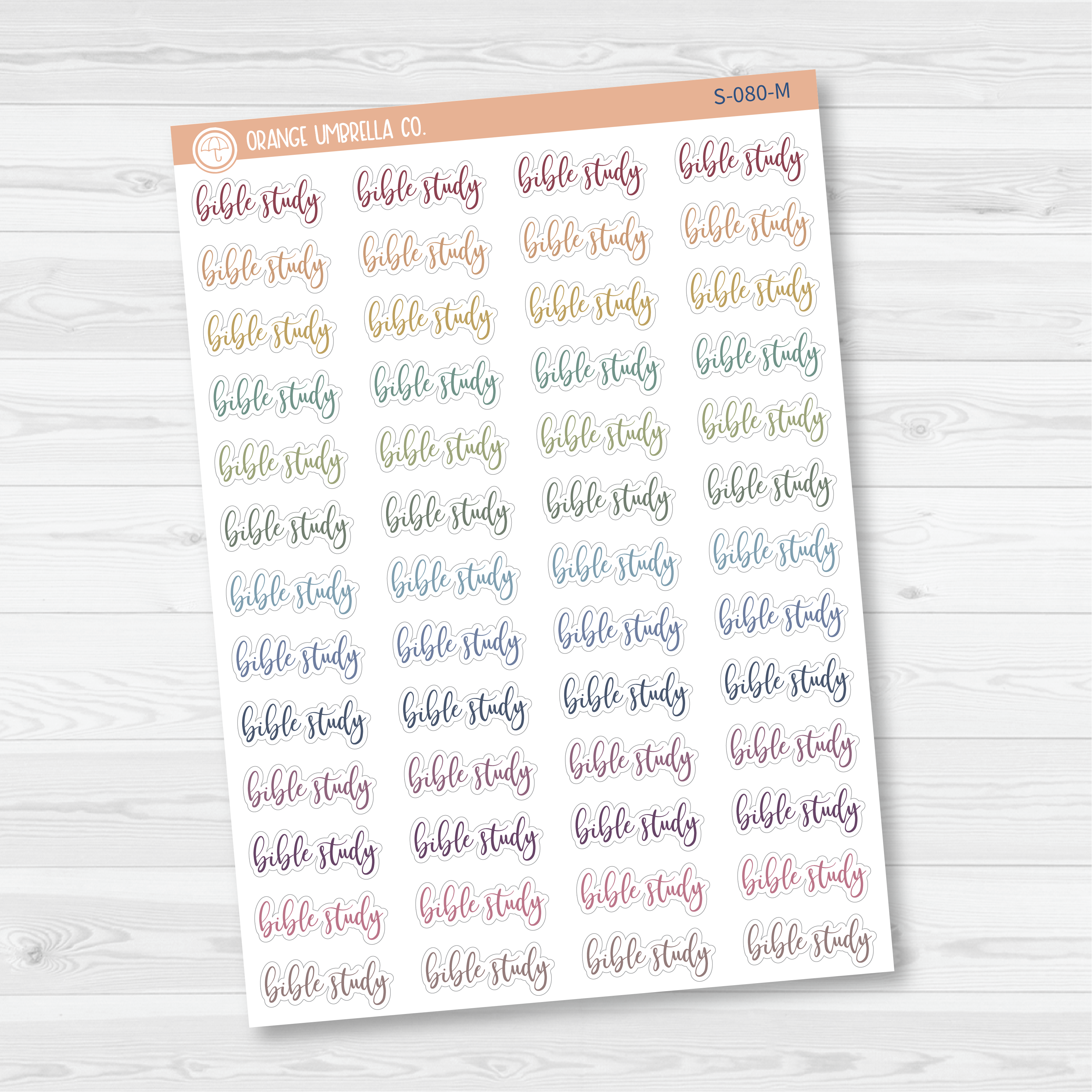 Bible Study Script Planner Stickers | F2 | S-080