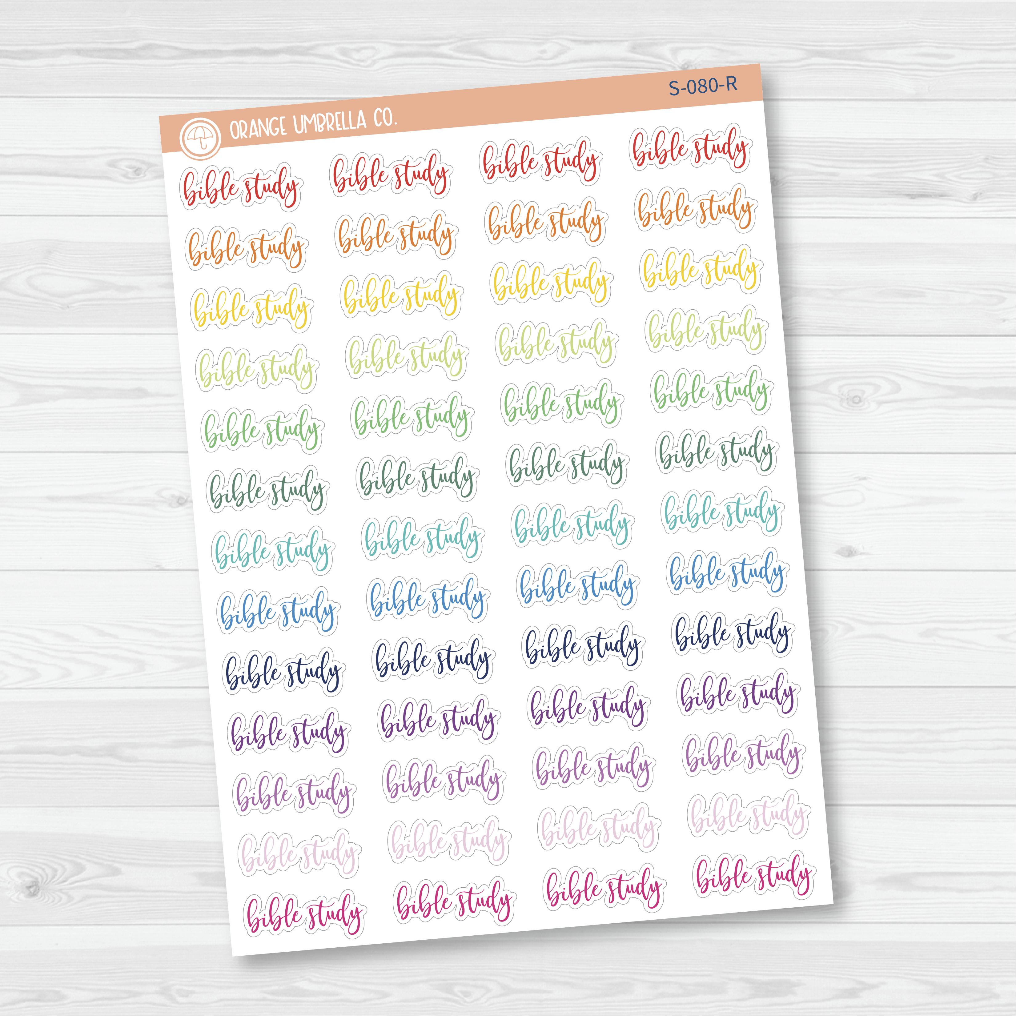 Bible Study Script Planner Stickers | F2 | S-080