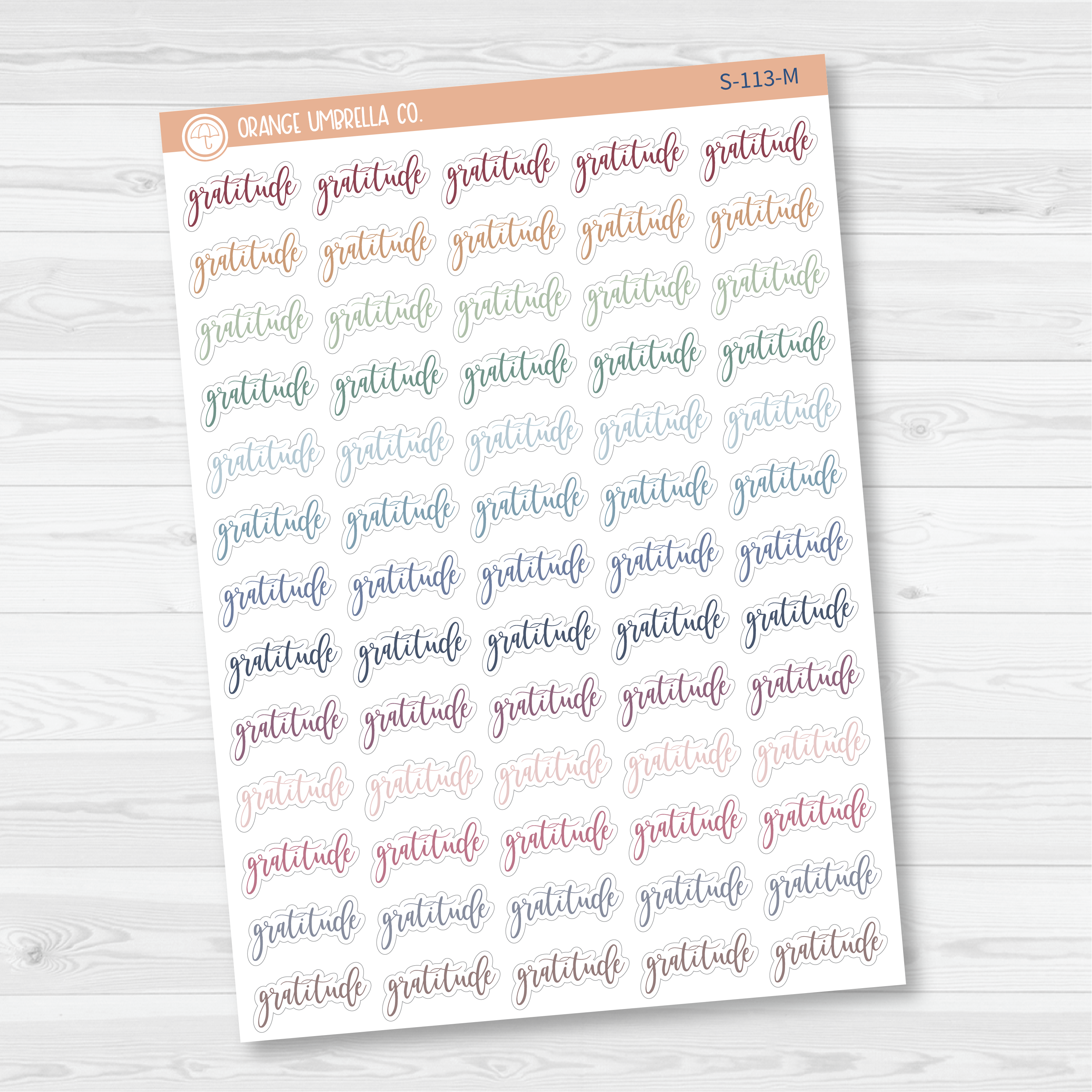 Gratitude Script Planner Stickers | F2 | S-113
