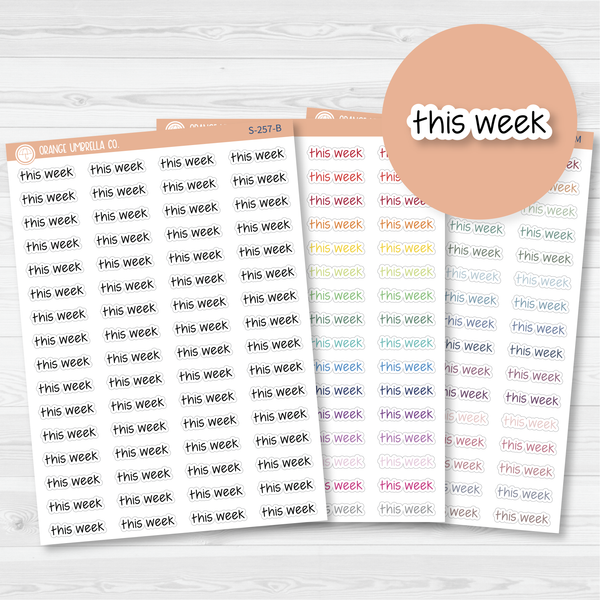 This Week Jen Plans Script Planner Stickers | FJP | S-257 / 904-123