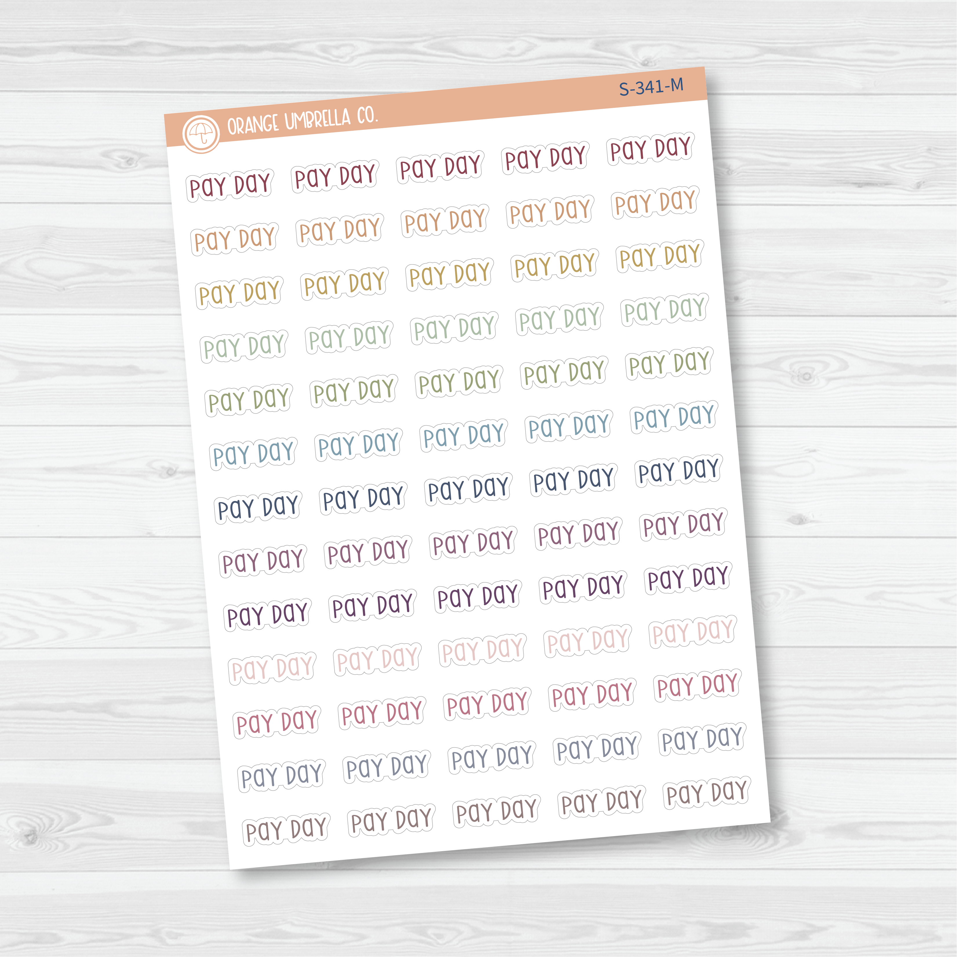 Payday Script Planner Stickers | F3 | S-341