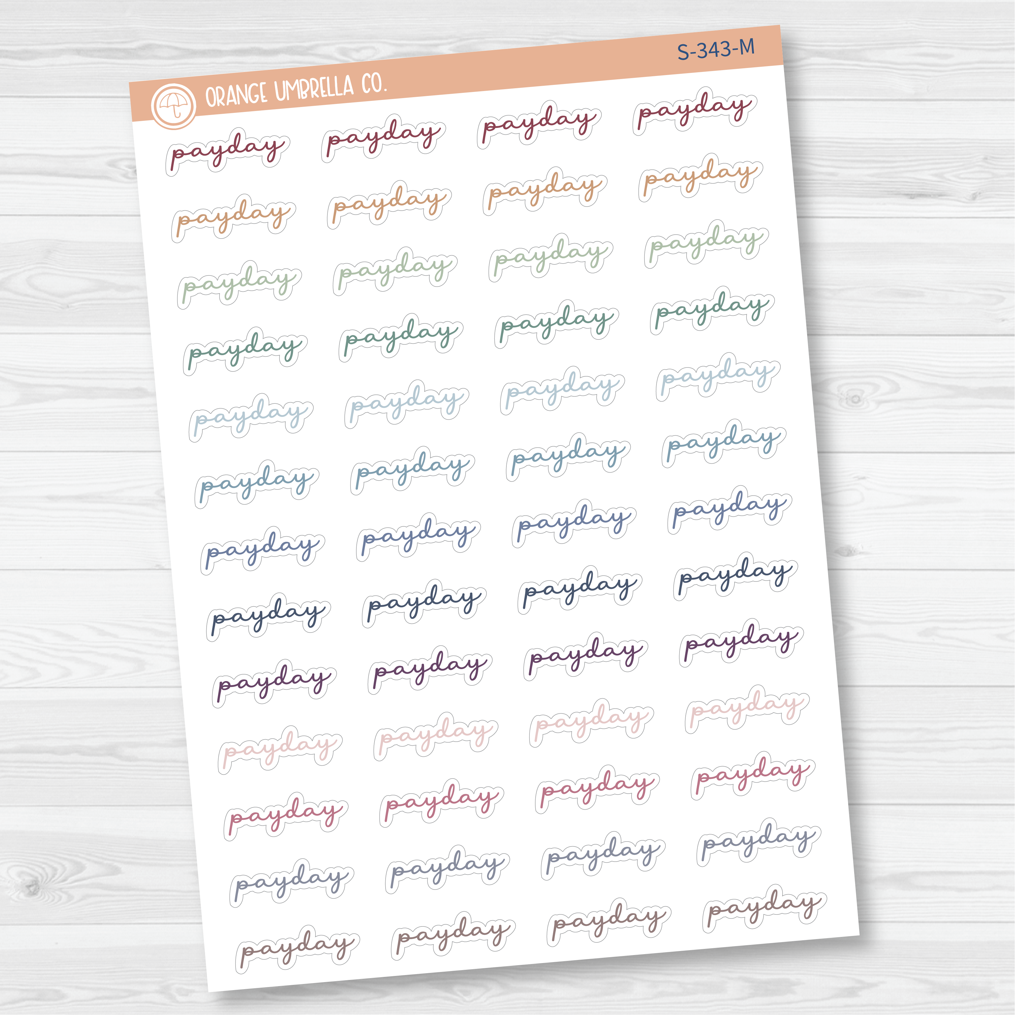 Payday Script Planner Stickers | F5 | S-343