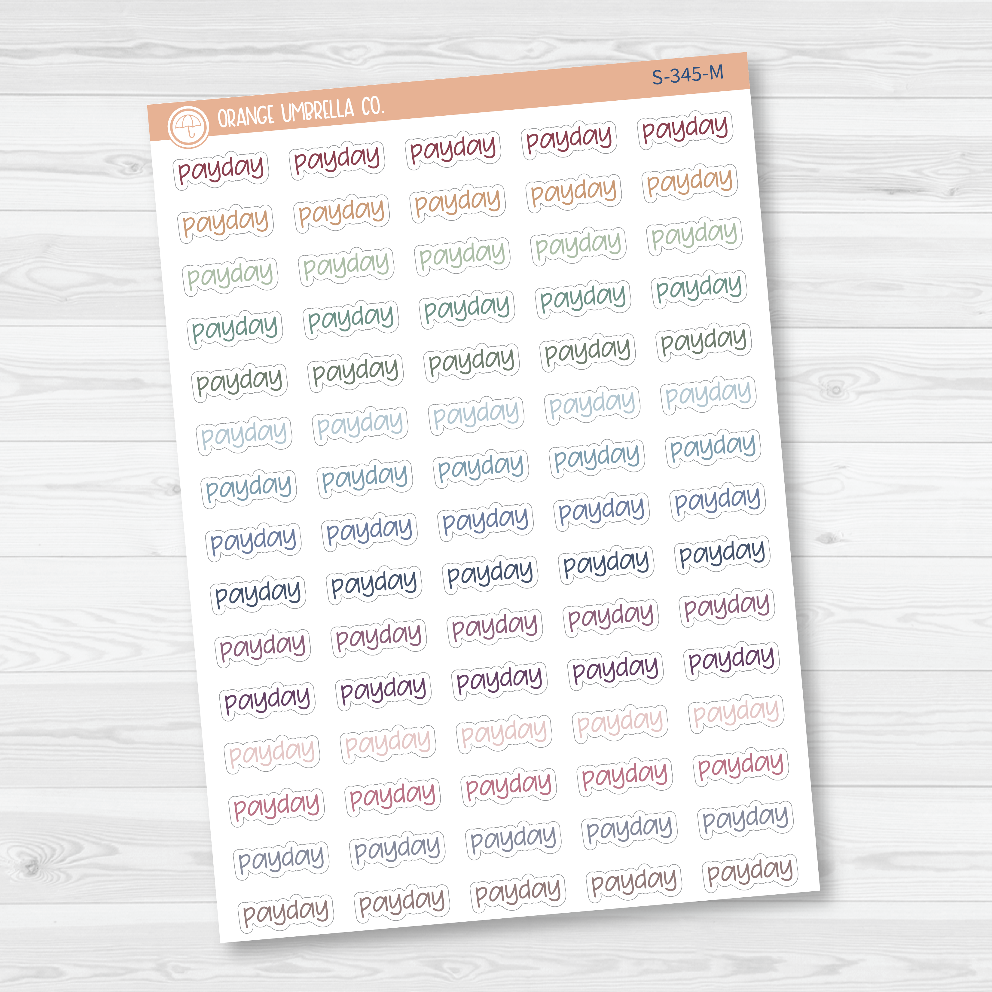 Payday Jen Plans Script Planner Stickers | FJP | S-345