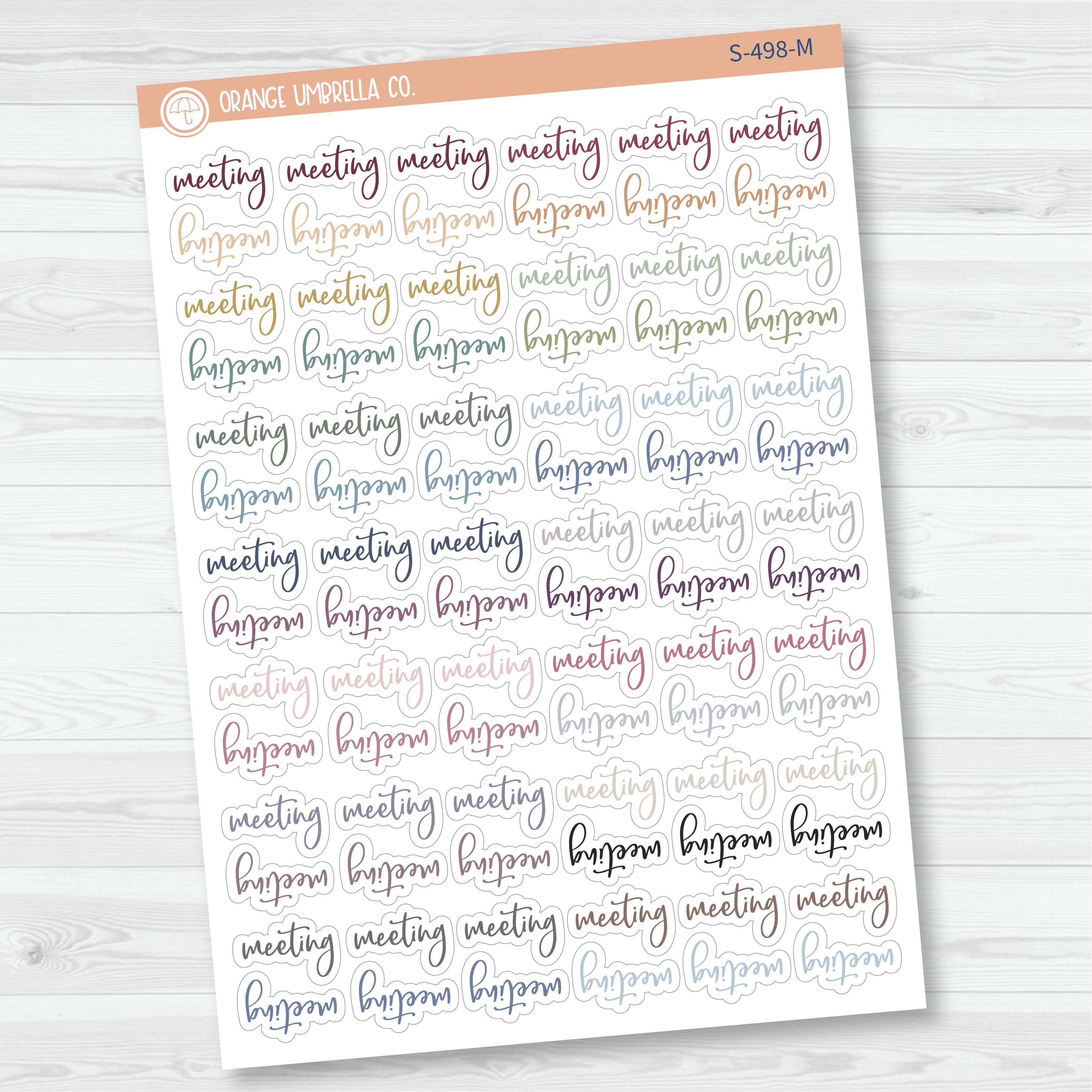 Meeting Script Planner Stickers | F2 | S-498