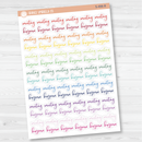 Meeting Script Planner Stickers | F2 | S-498