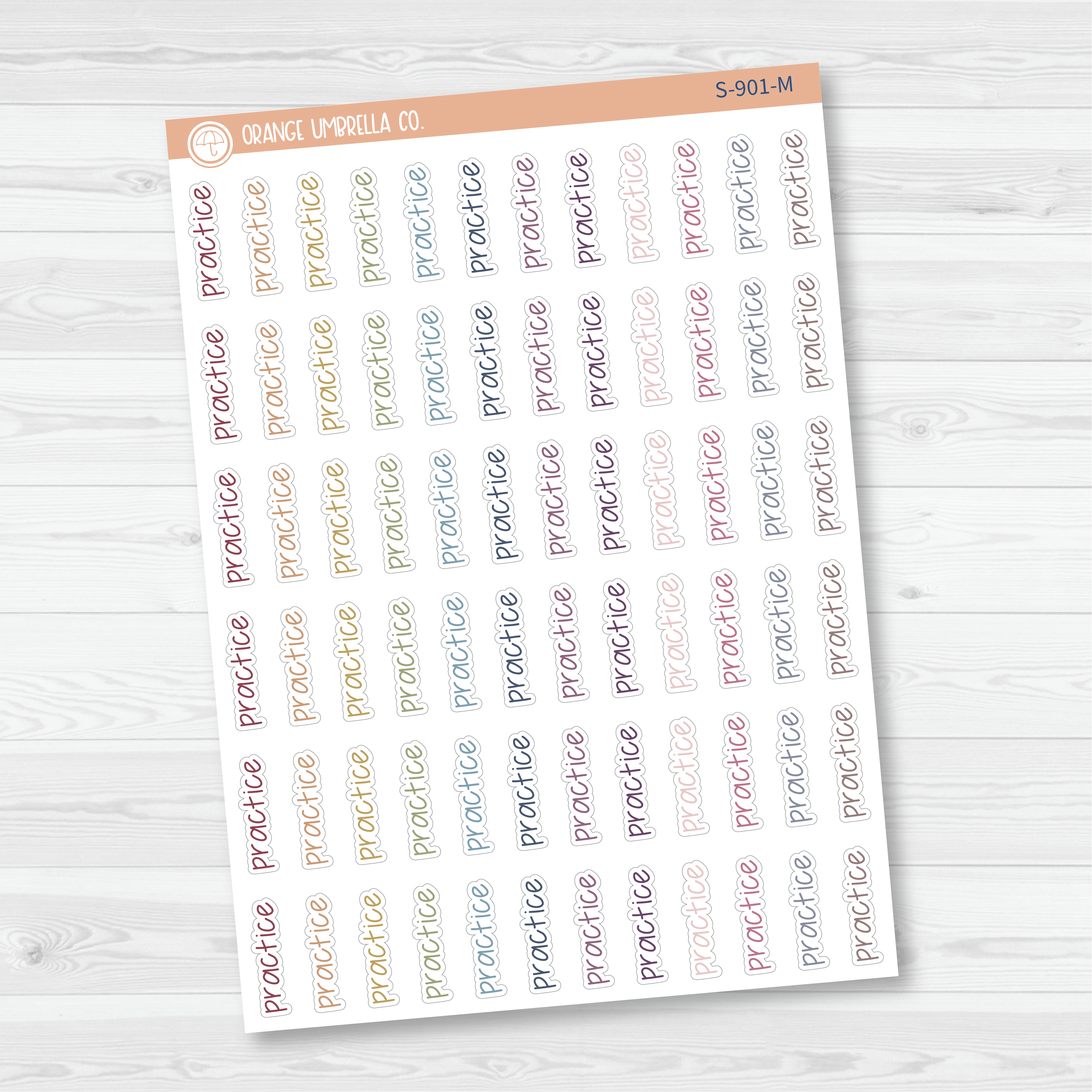 Practice Jen Plans Script Planner Stickers | FJP | S-901