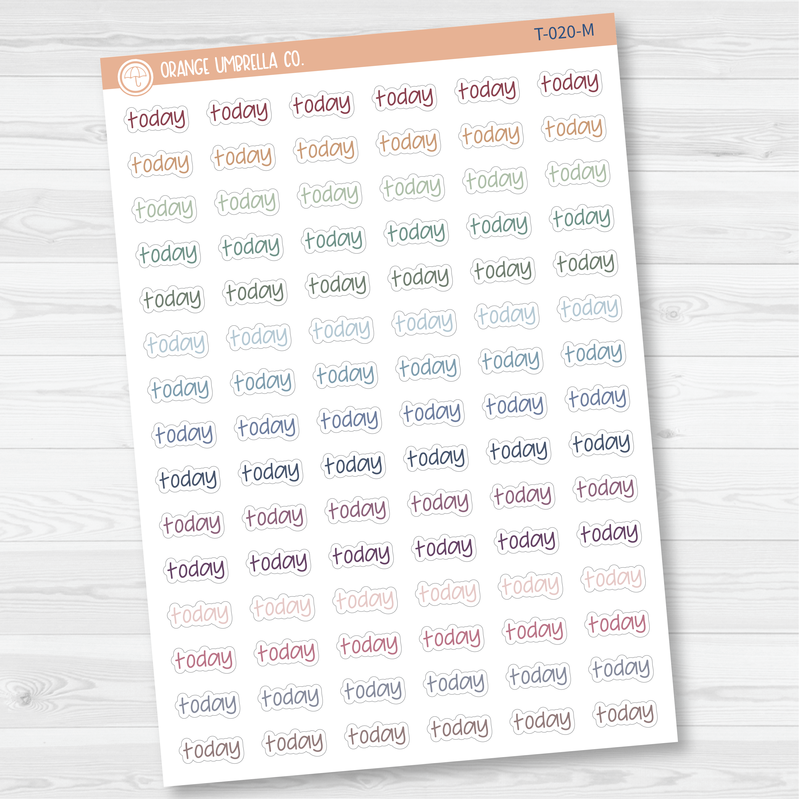 Today Jen Plans Script Planner Stickers | FJP | T-020