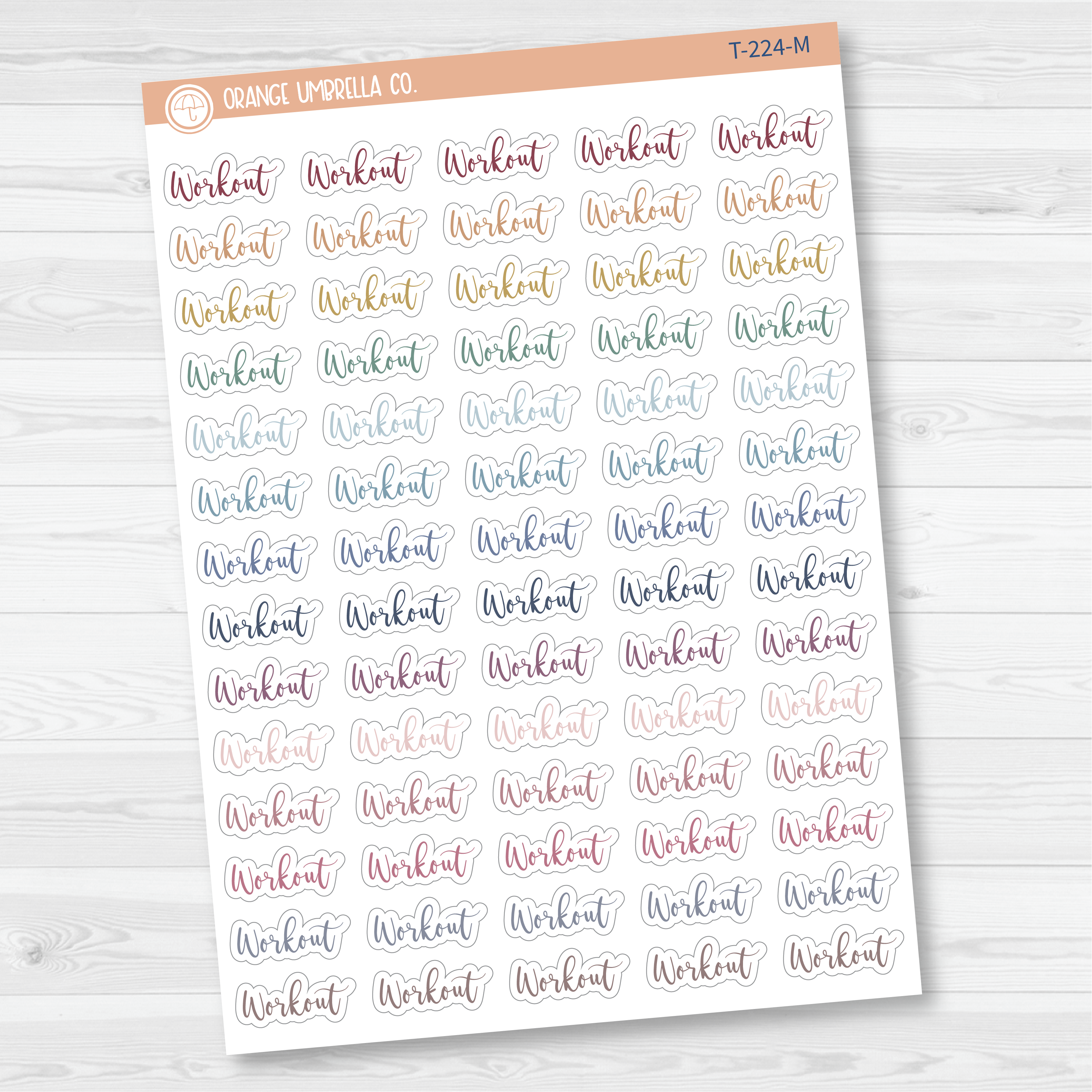 Workout Script Planner Stickers | F2 | T-224