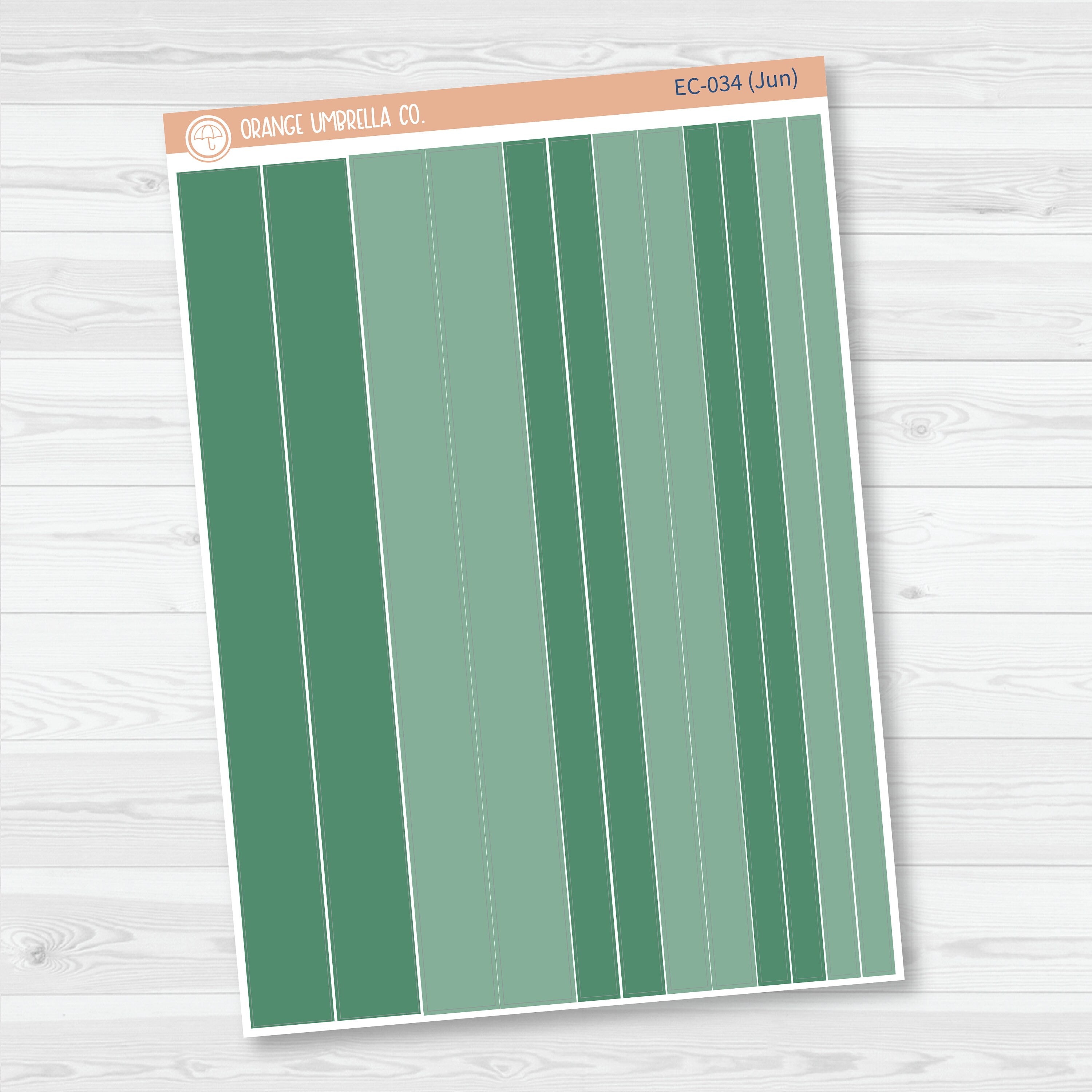 Erin Condren Washi Planner Stickers | Erin Condren Palette | EC-029-034