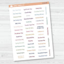 US Holiday - Mini Script Planner Stickers | F19 | S-013