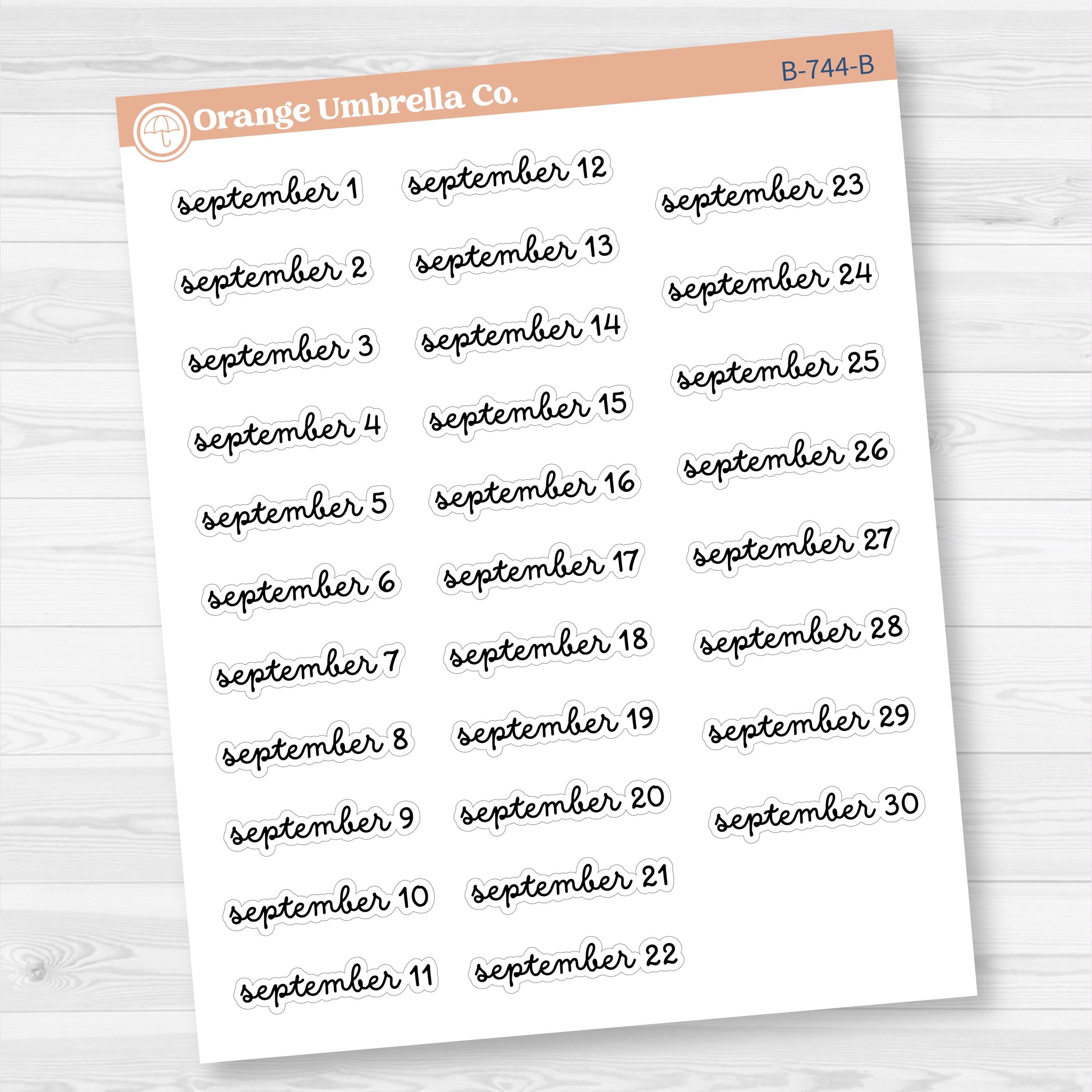 Dates of the Month Planner Stickers and Labels | F16 Script | B-742-747-B