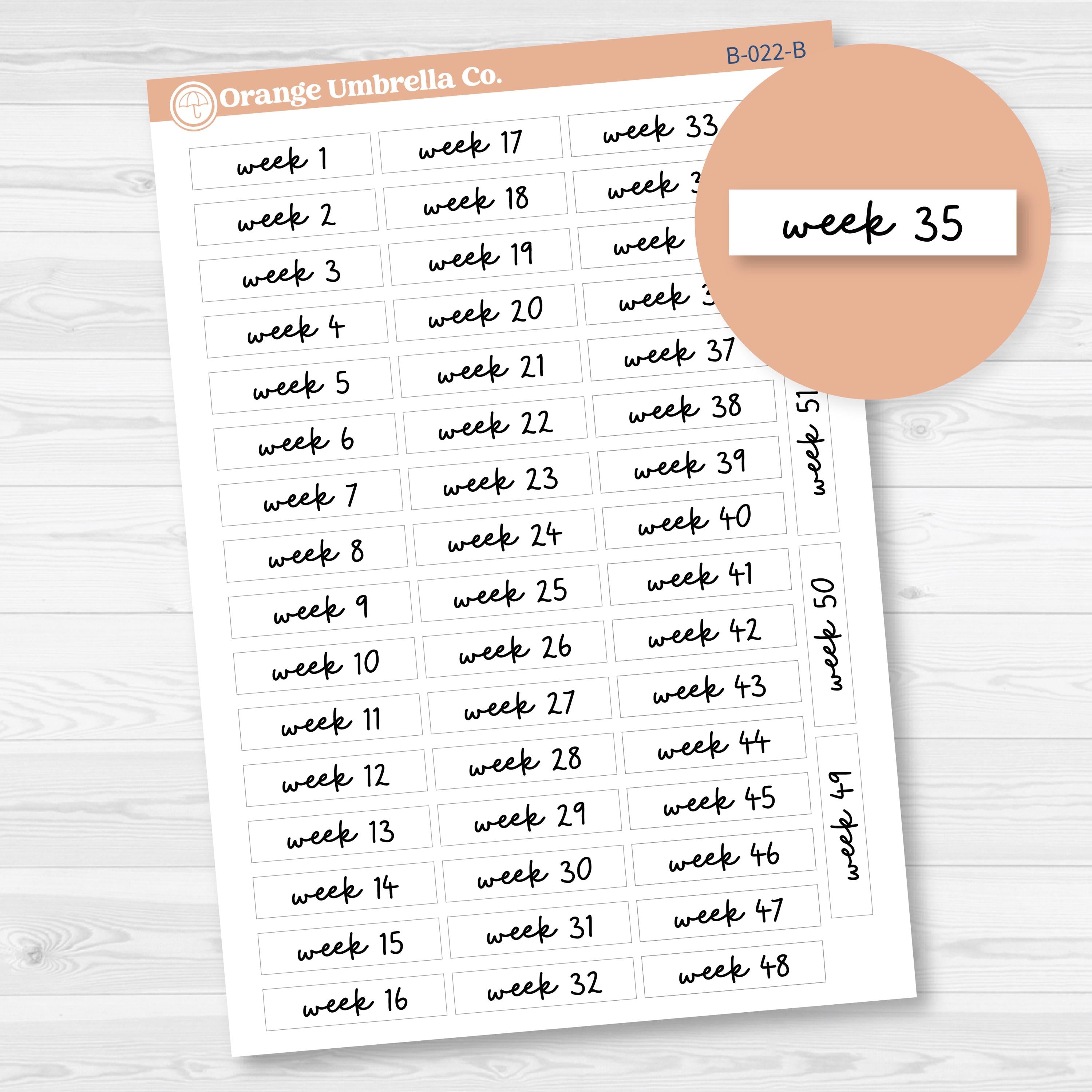 Week 1-52 Binder Kit Storage Labels Planner Stickers | F17 Script | B-022-B