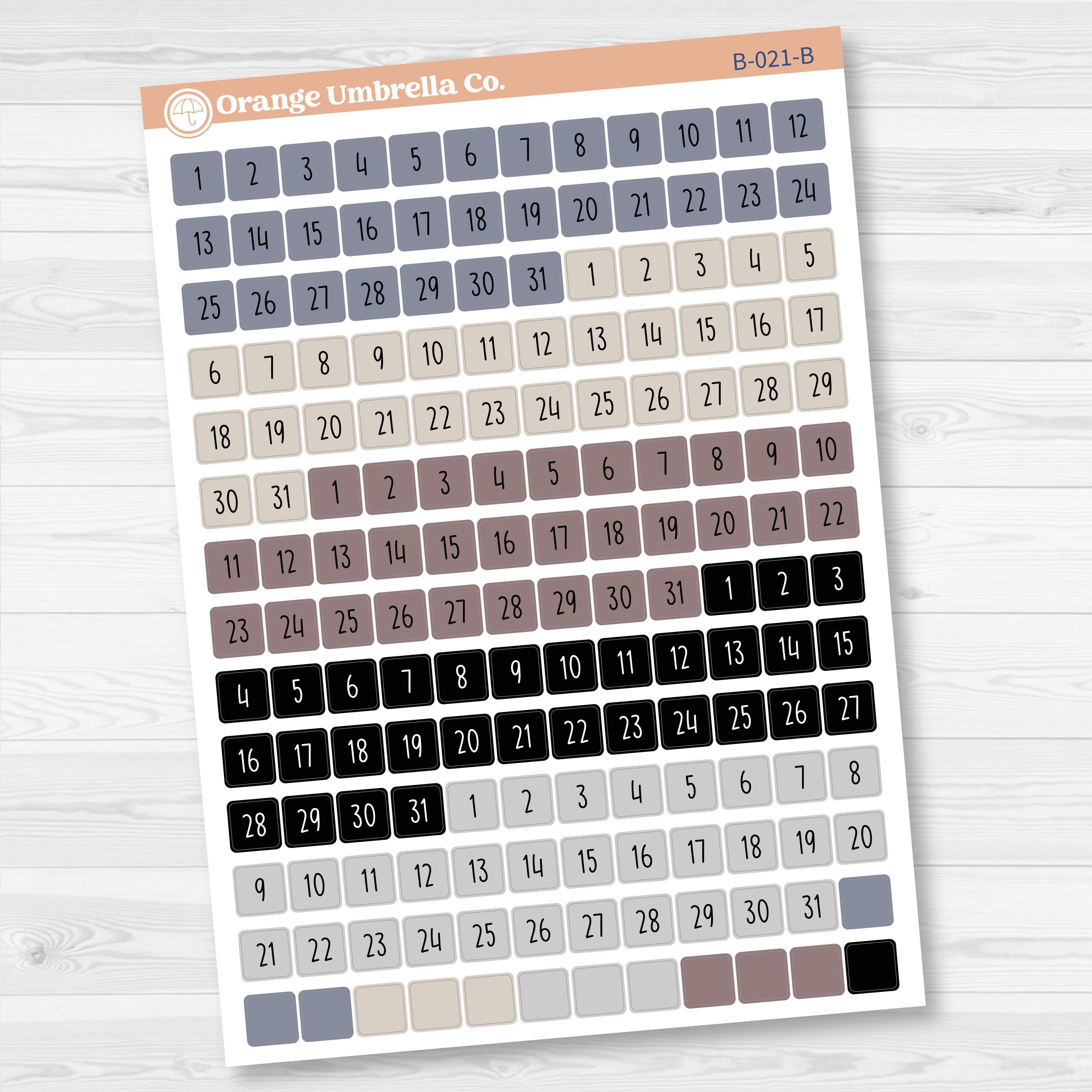 5 Months Colored Square Mini Date Dots | Square F17 | B-021