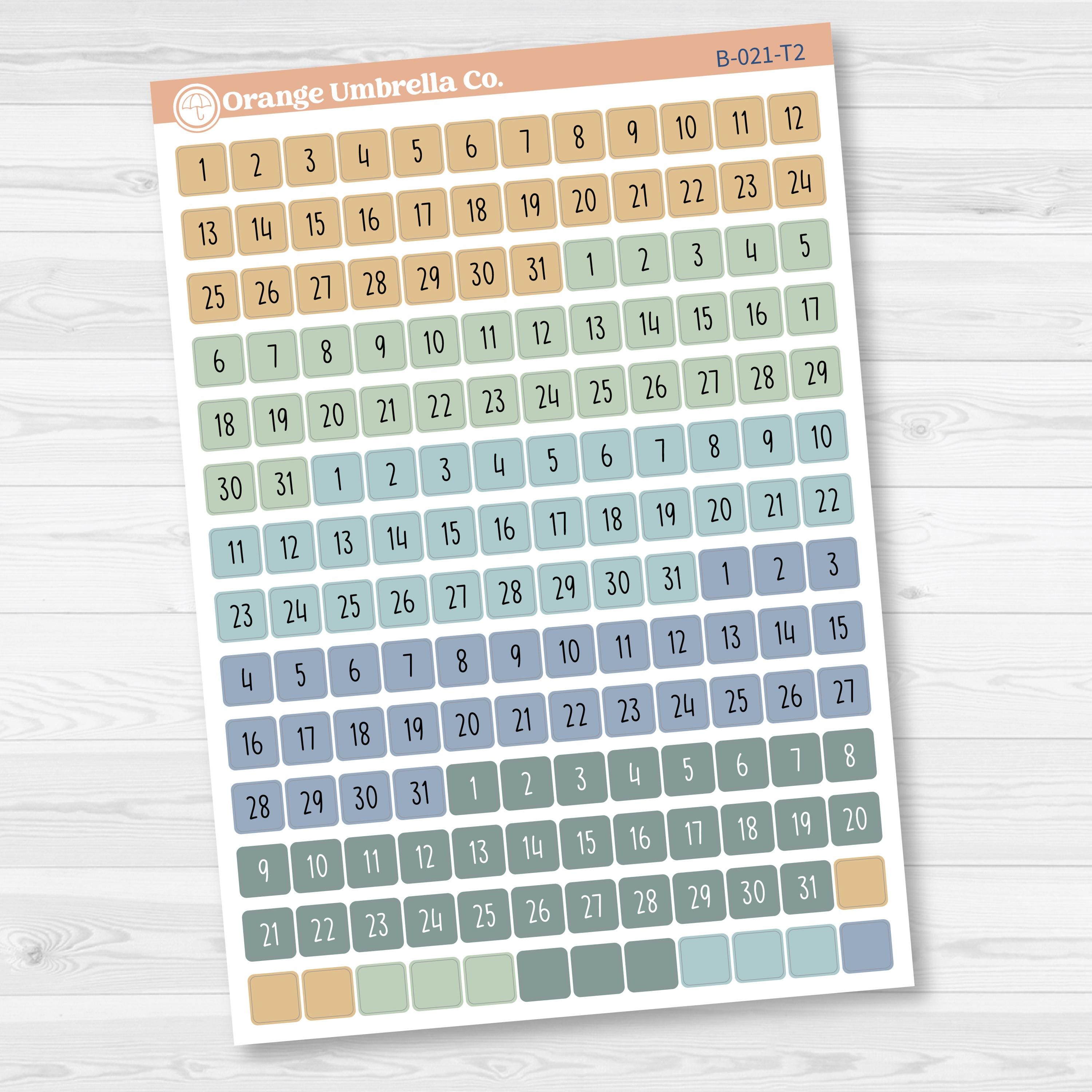 5 Months Colored Square Mini Date Dots | Square F17 | B-021