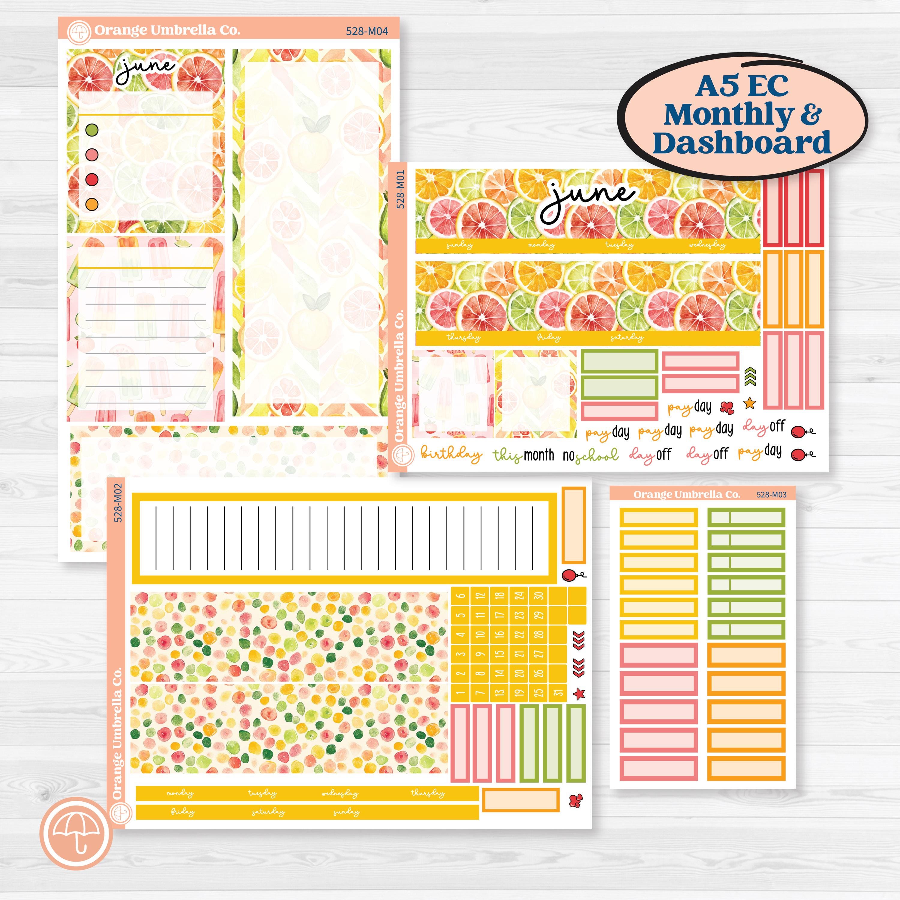 Bright Fruit Stickers | A5 Erin Condren Monthly & Productivity Dashboard Sticker Kit | Burst | KIT-528-M