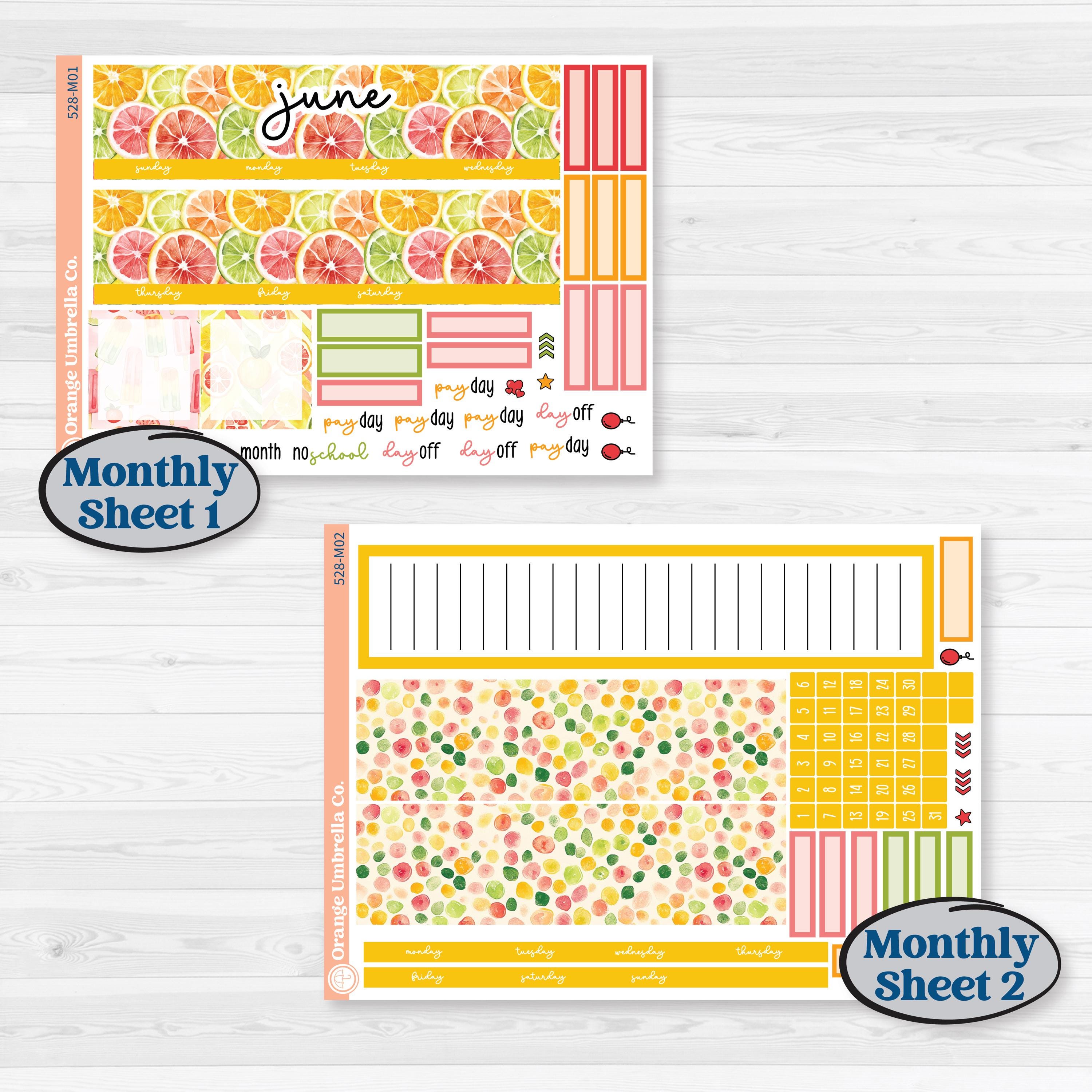 Bright Fruit Stickers | A5 Erin Condren Monthly & Productivity Dashboard Sticker Kit | Burst | KIT-528-M