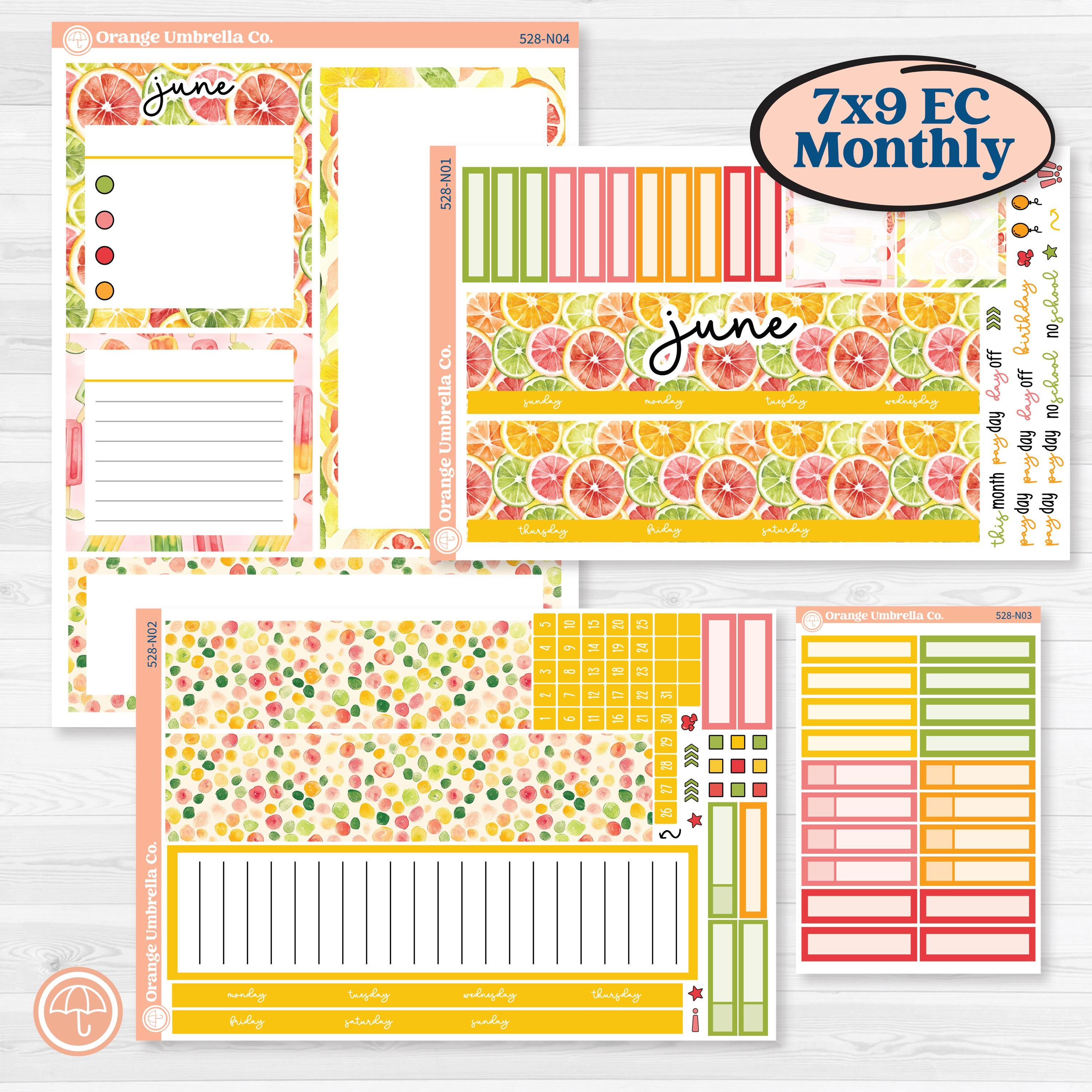 Bright Fruit Stickers | 7x9 Erin Condren Life Planner Monthly & Dashboard Sticker Kit | Burst | KIT-528-N
