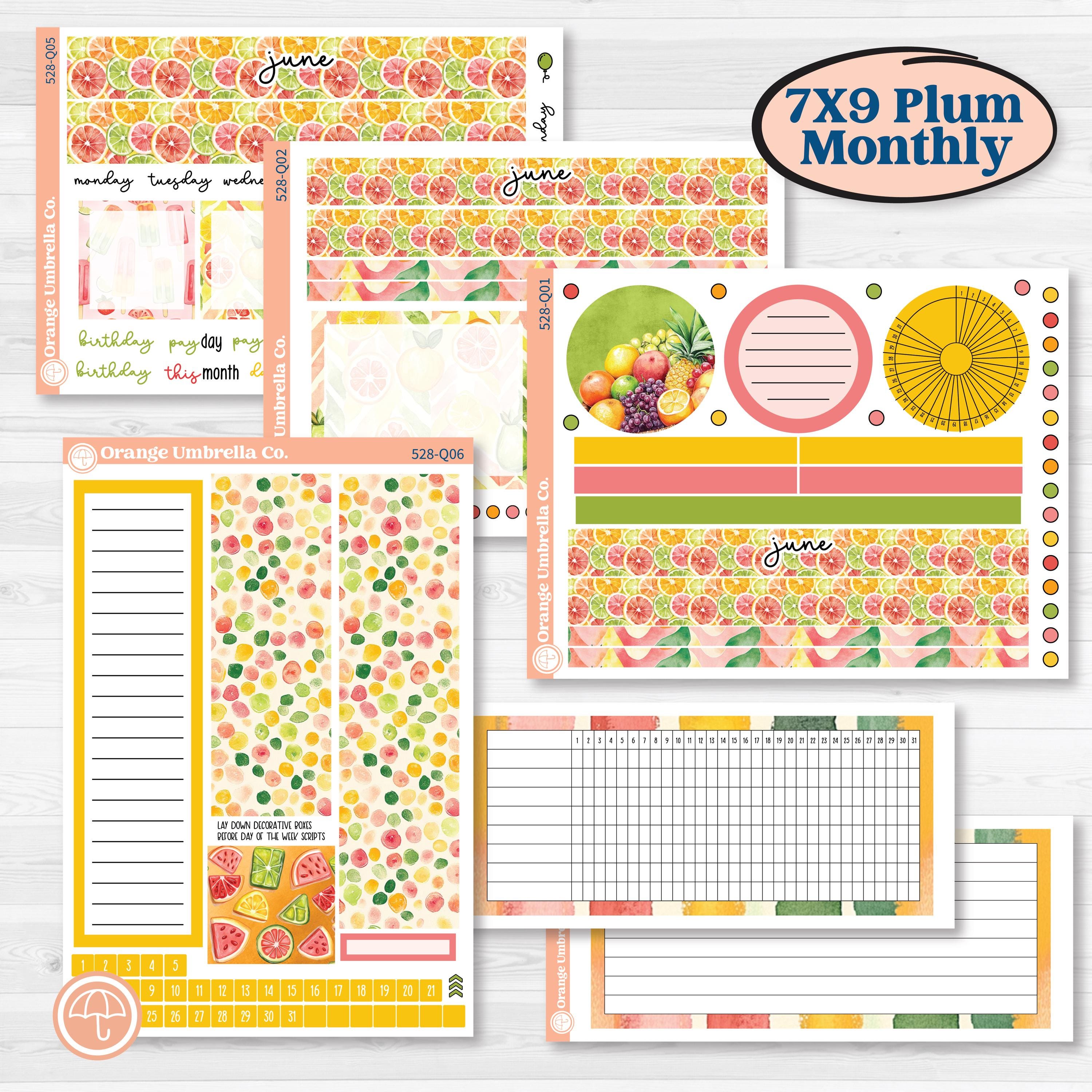 Bright Fruit Stickers | 7x9 Plum Monthly & Dashboard Planner Kit Stickers | Burst | KIT-528-Q