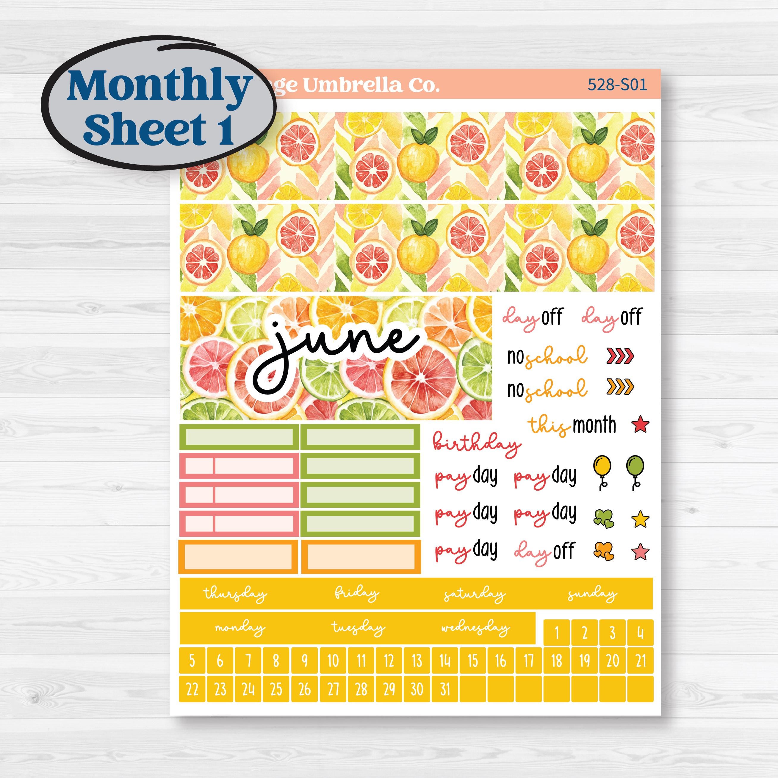 Bright Fruit Stickers | Hobonichi Cousin Monthly Planner Kit Stickers | Burst | KIT-528-S