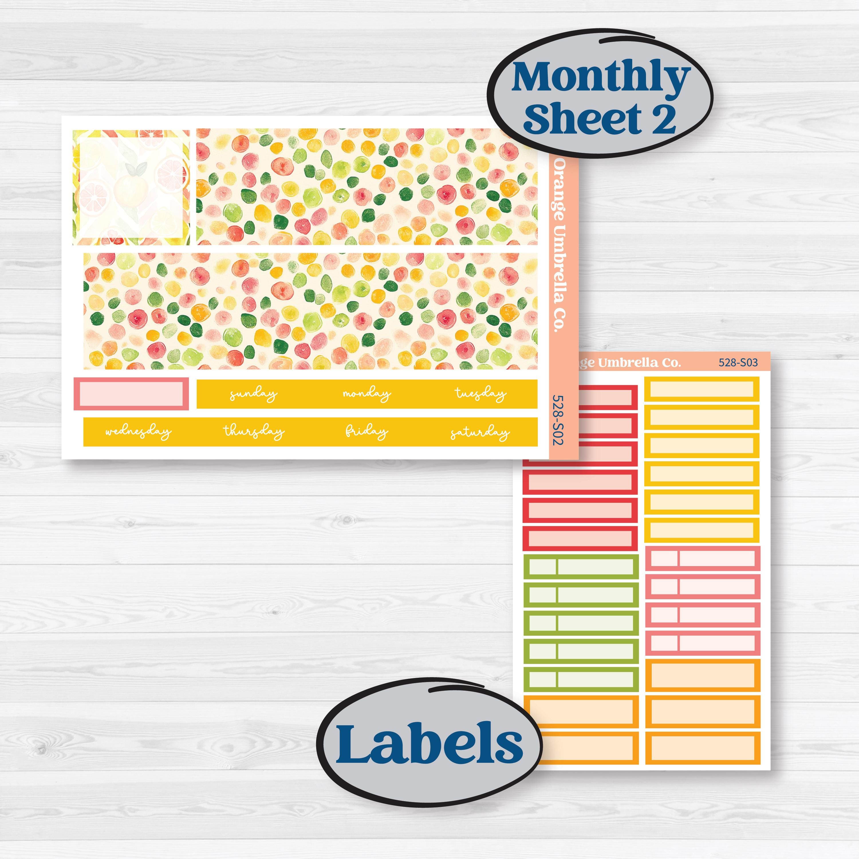 Bright Fruit Stickers | Hobonichi Cousin Monthly Planner Kit Stickers | Burst | KIT-528-S
