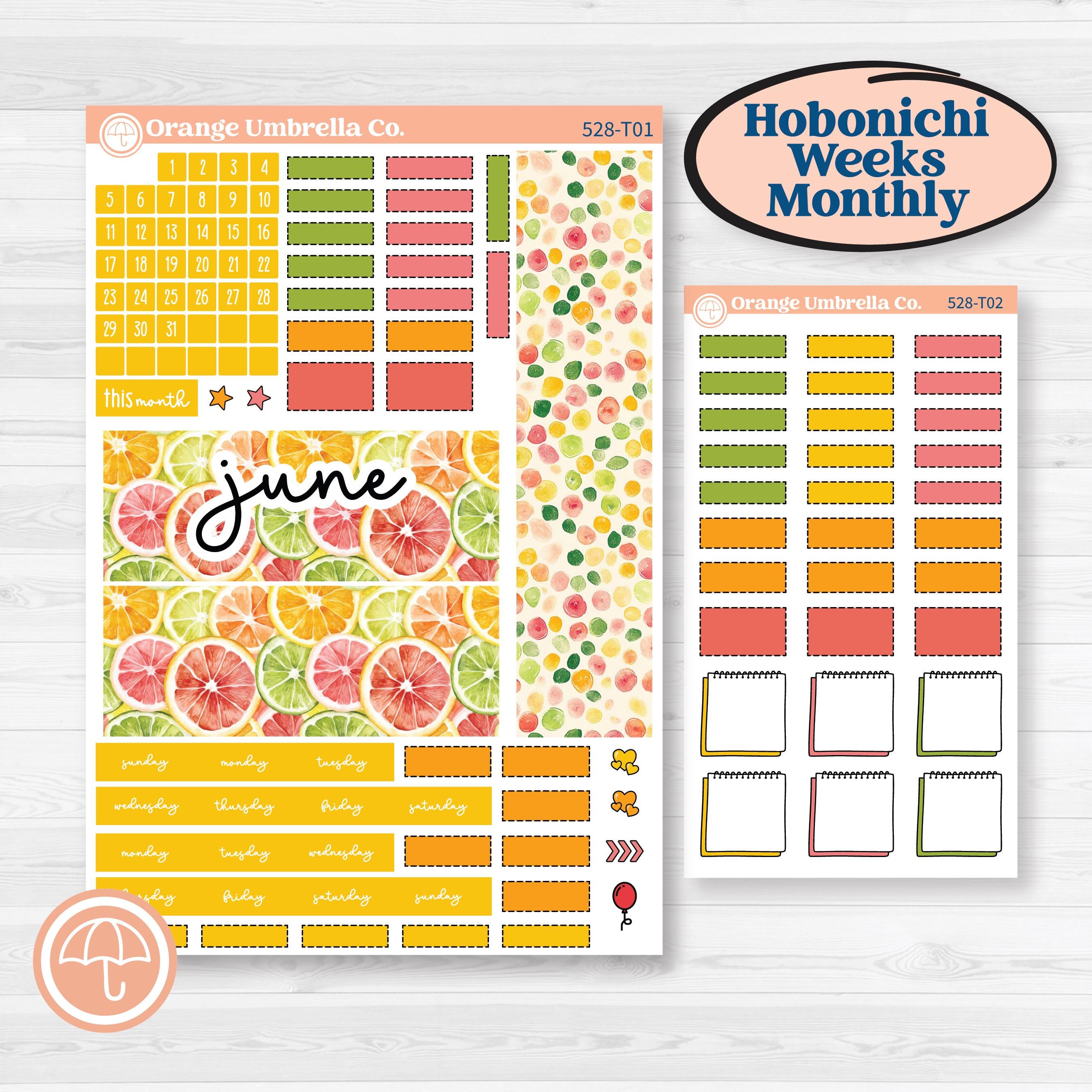 Bright Fruit Stickers | Hobonichi Weeks Monthly Planner Kit Stickers | Burst | KIT-528-T