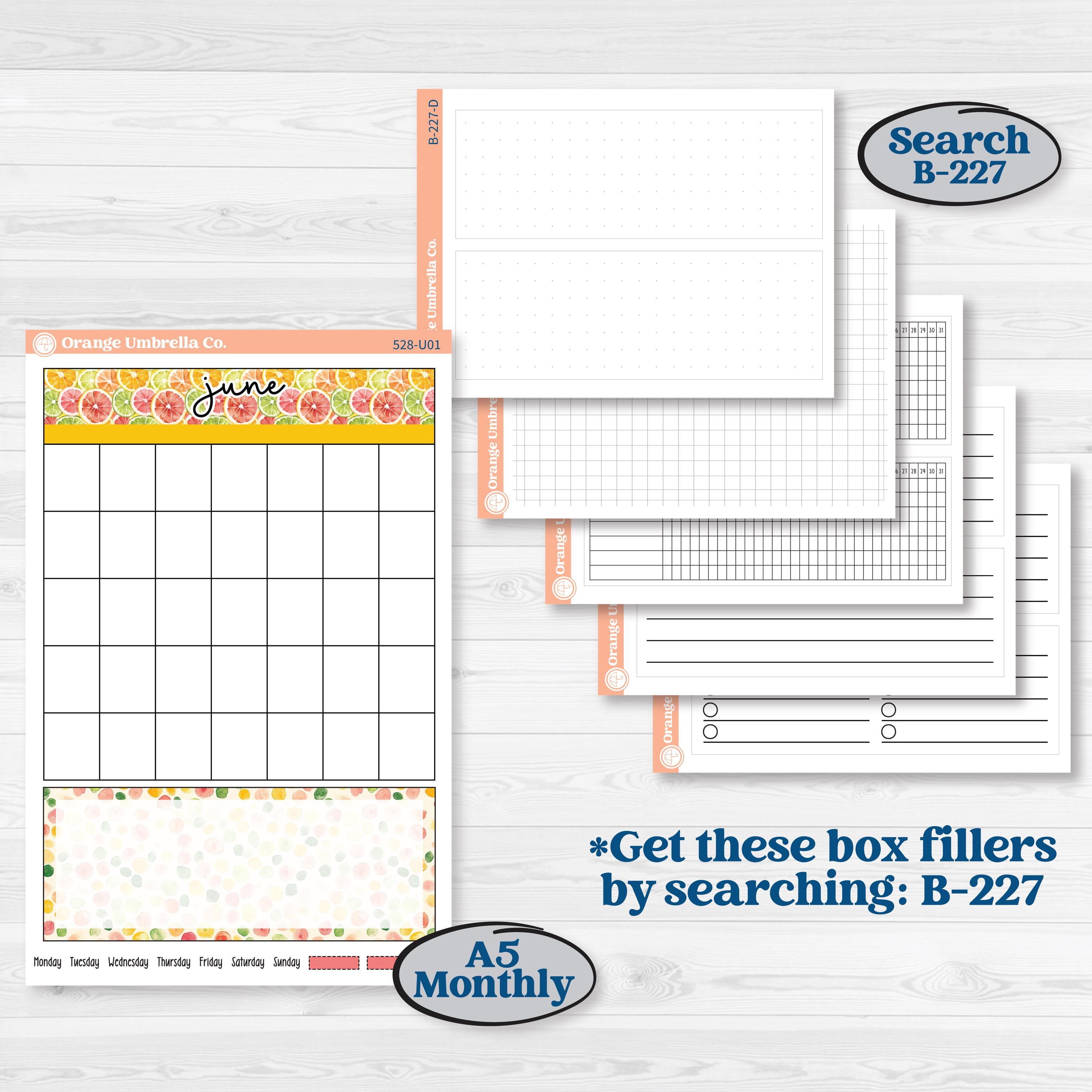 Bright Fruit Stickers | A5 or 7x9 Create Your Own Monthly or Dashboard Universal | Reading Log Sticker Kit | Burst | KIT-528-U