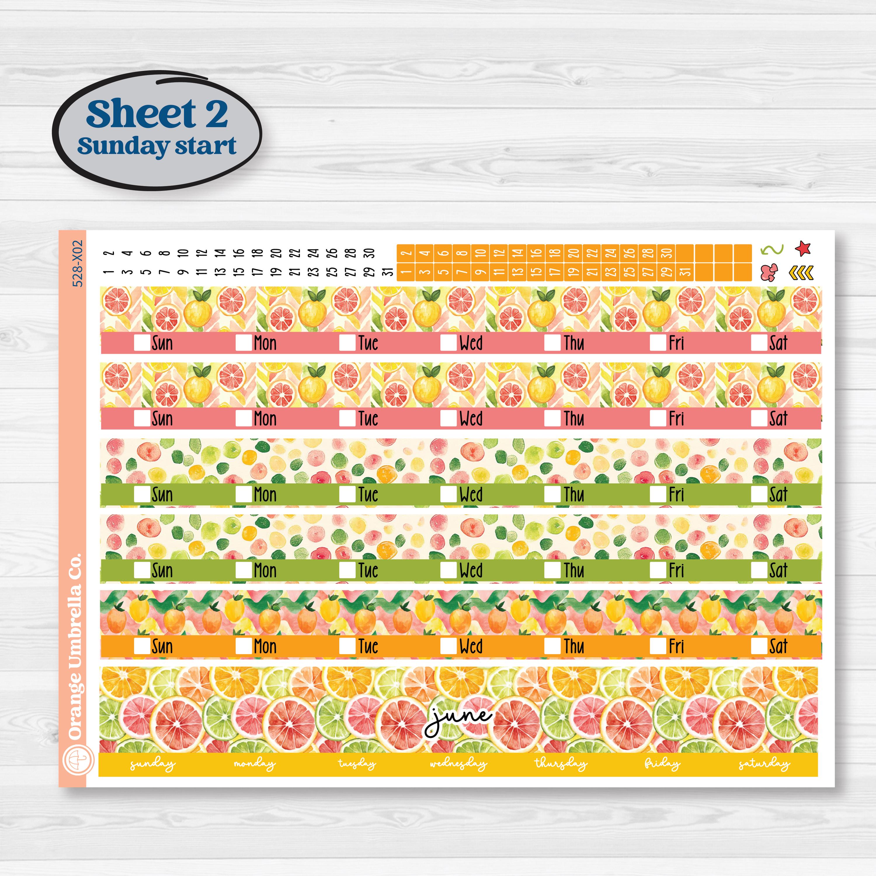 Bright Fruit Stickers | Laurel Denise Jo Large Planner Kit Stickers | Burst | KIT-528-X