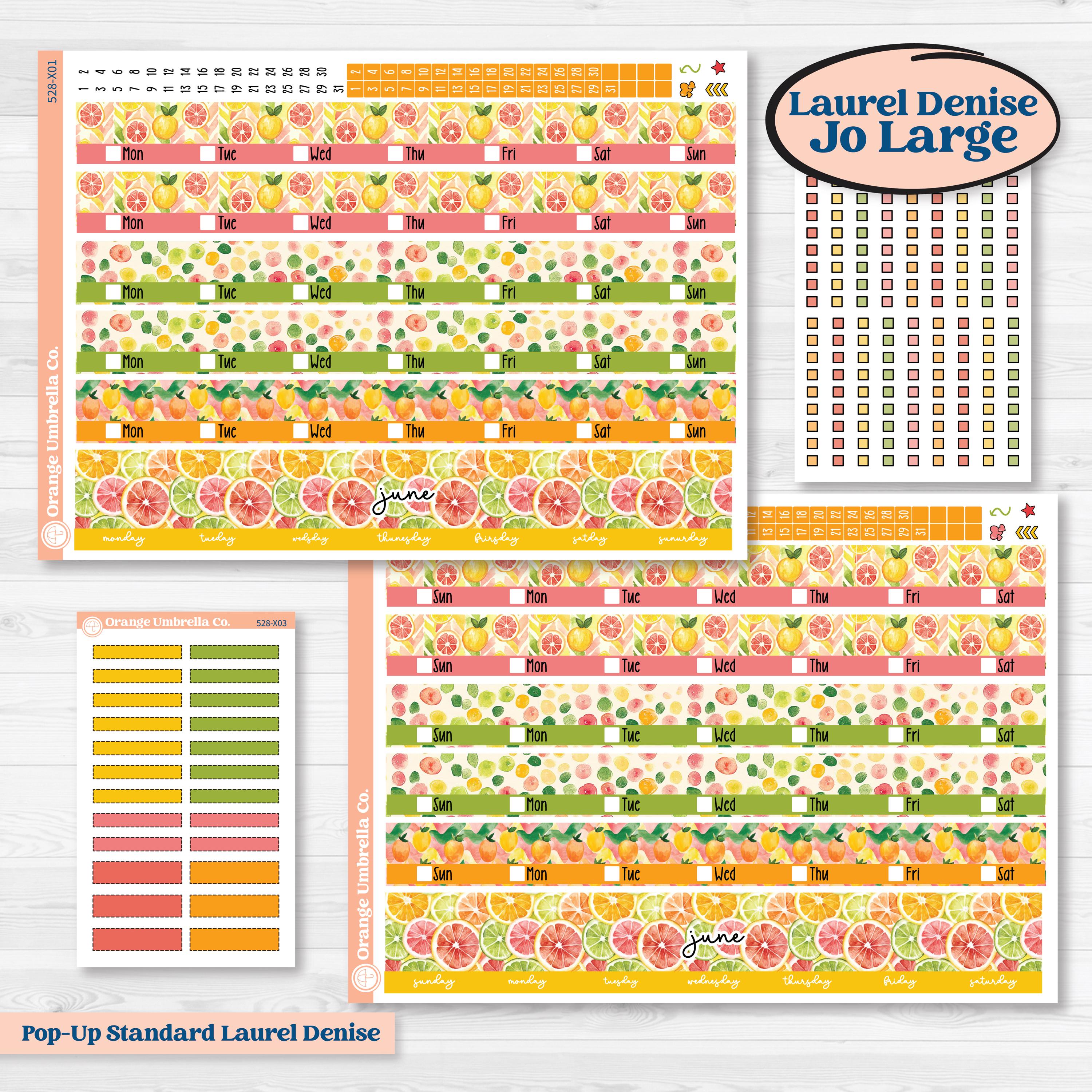 Bright Fruit Stickers | Laurel Denise Jo Large Planner Kit Stickers | Burst | KIT-528-X