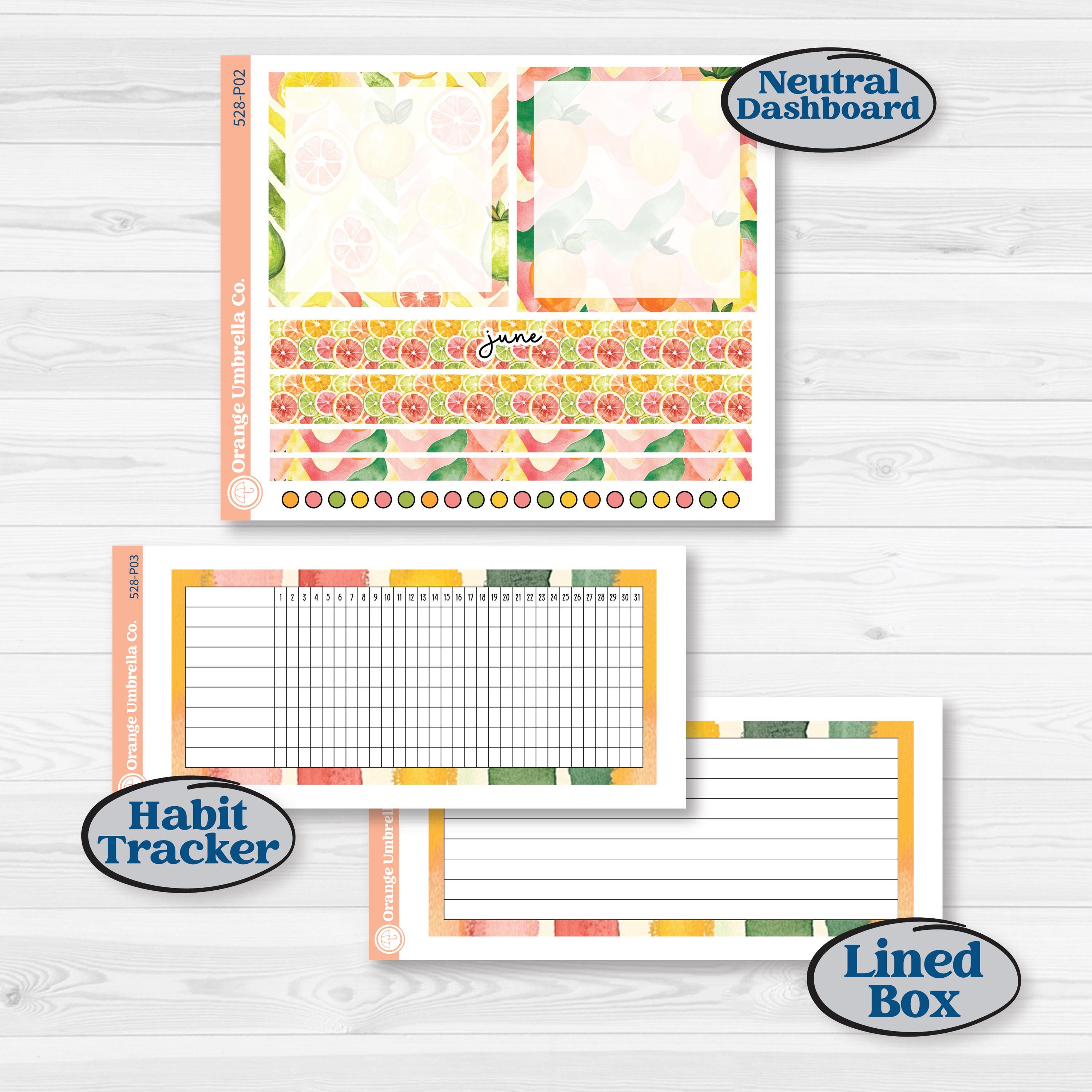 Bright Fruit Stickers | A5 Plum Monthly & Dashboard Planner Kit Stickers | Burst | KIT-528-P