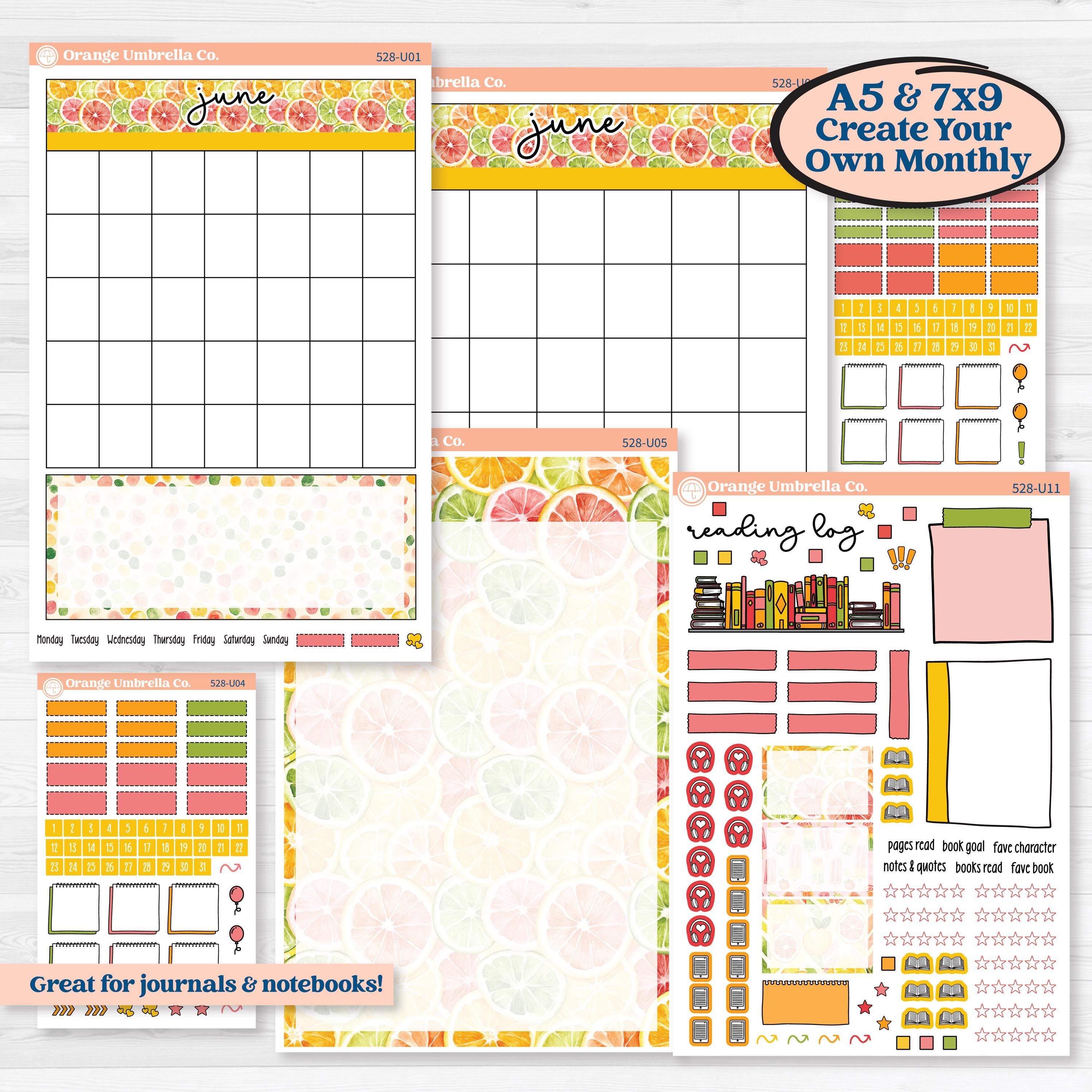 Bright Fruit Stickers | A5 or 7x9 Create Your Own Monthly or Dashboard Universal | Reading Log Sticker Kit | Burst | KIT-528-U
