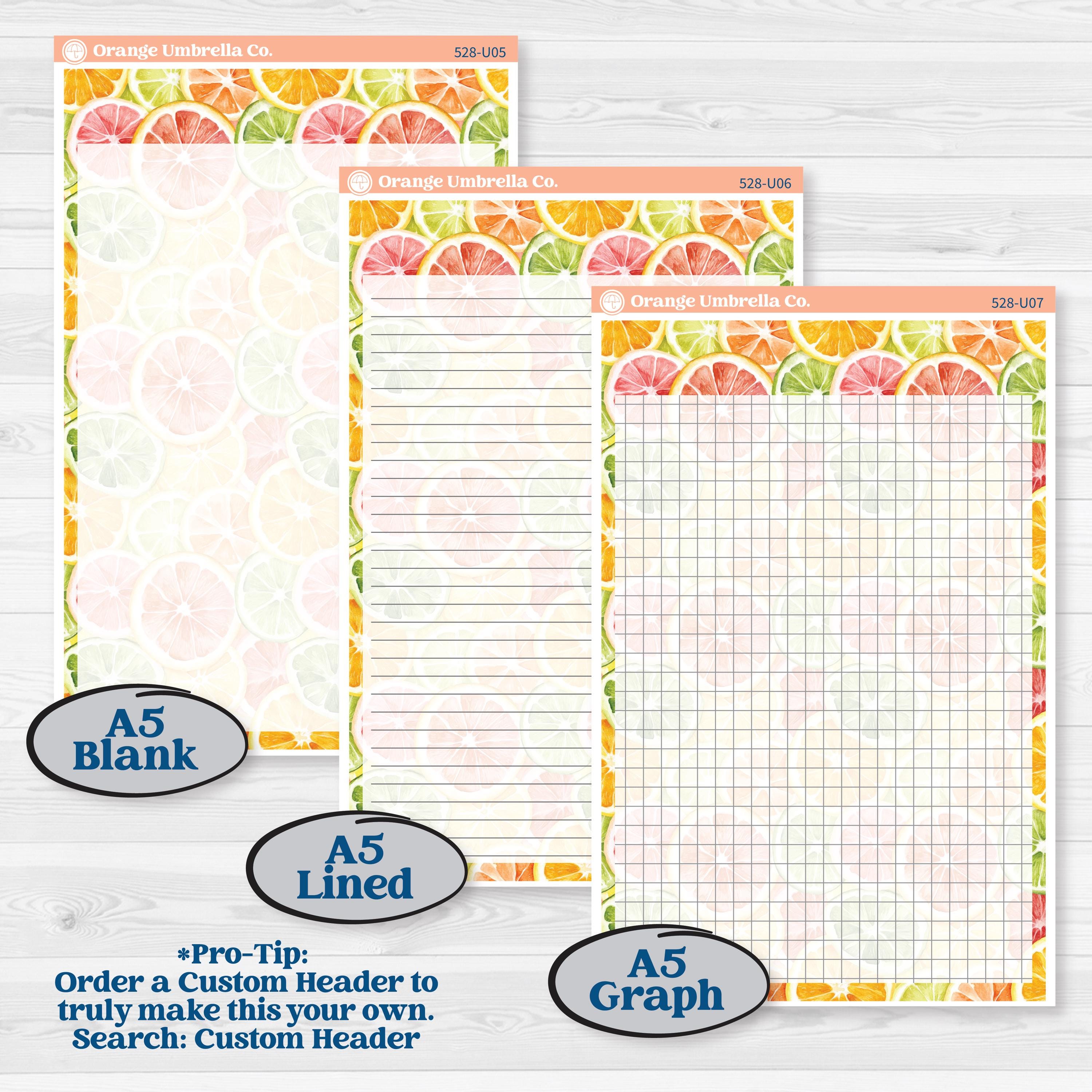 Bright Fruit Stickers | A5 or 7x9 Create Your Own Monthly or Dashboard Universal | Reading Log Sticker Kit | Burst | KIT-528-U