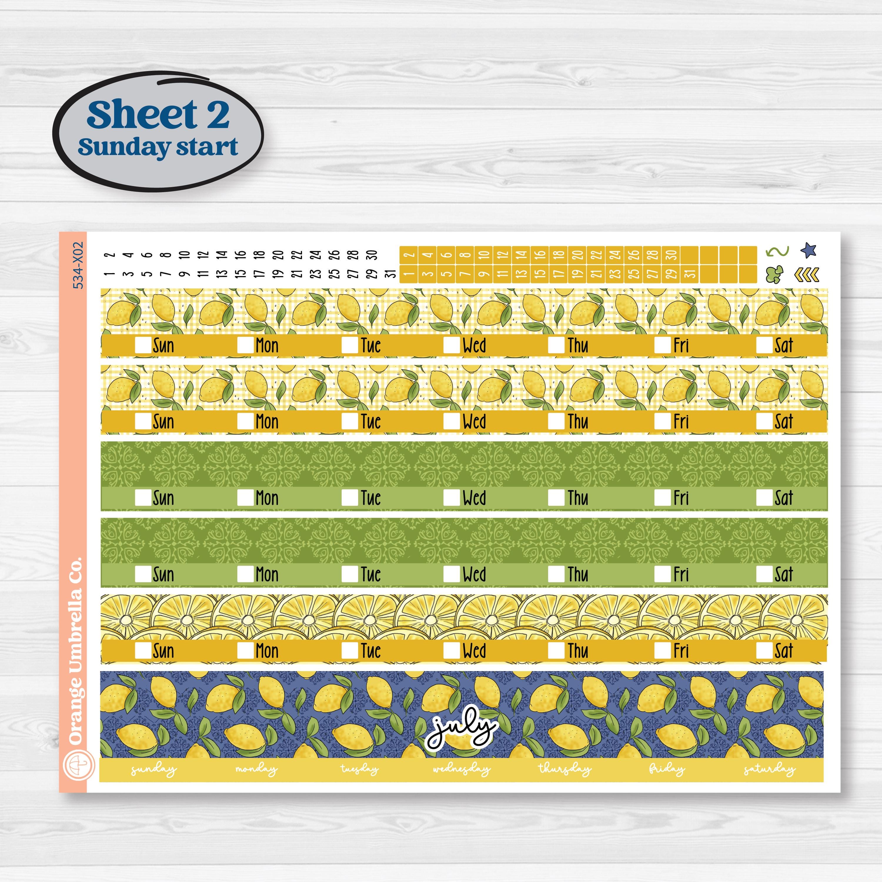 Summer Lemon Kit | Laurel Denise Jo Large Planner Kit Stickers | Lemonade Stand | KIT-534-X