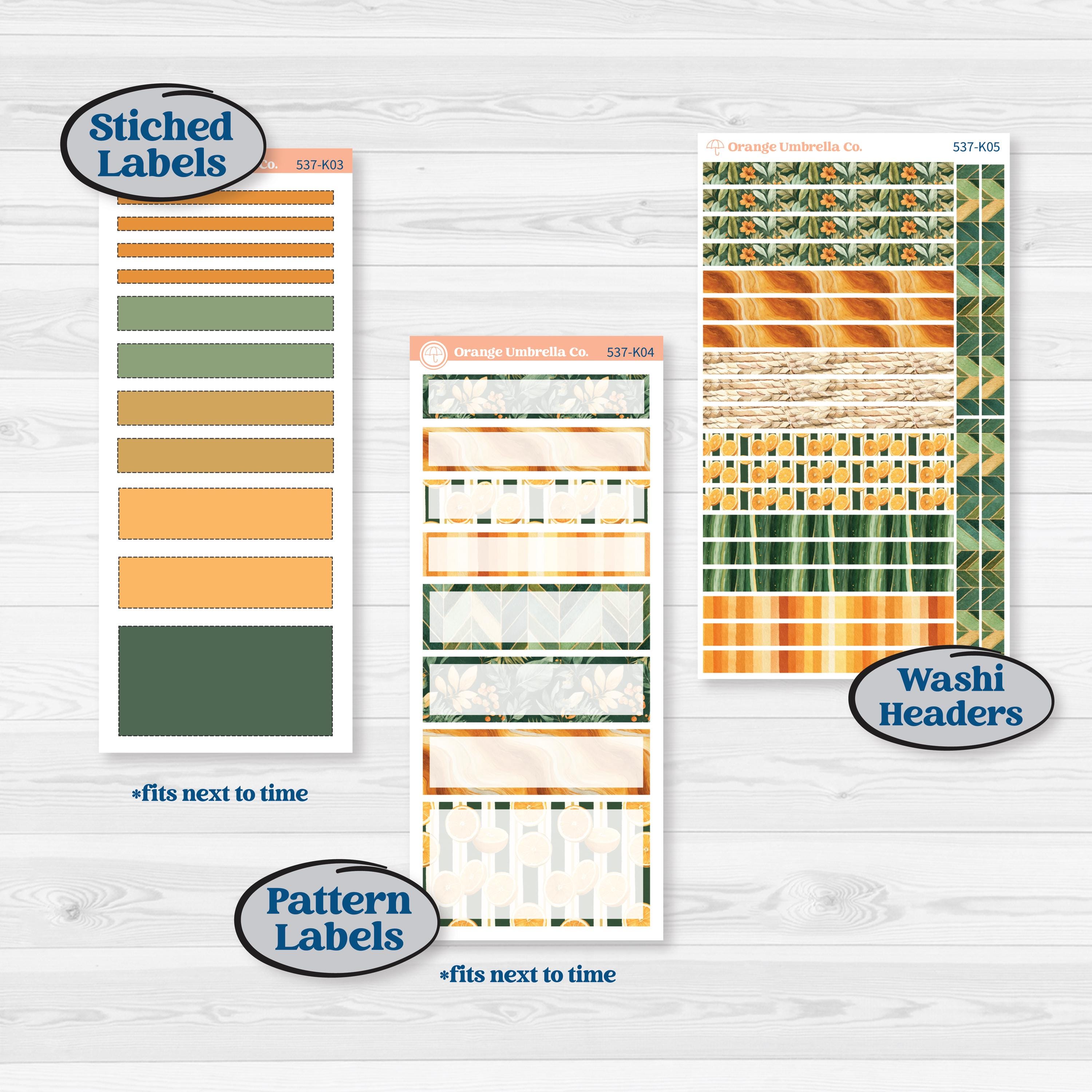 Orange Tropical Kit | 7x9 Erin Condren Daily Duo Planner Kit Stickers | Valencia | KIT-537-K
