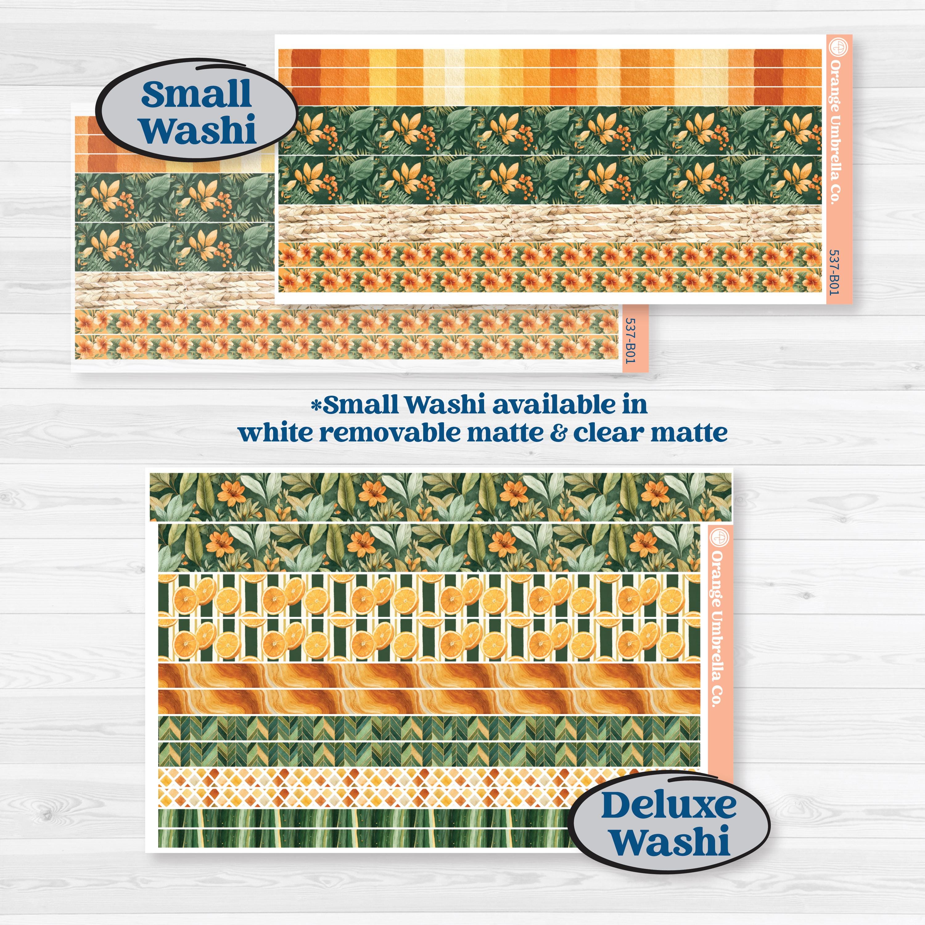 Orange Tropical Kit | Weekly Add-On Planner Kit Stickers | Valencia | KIT-537-B