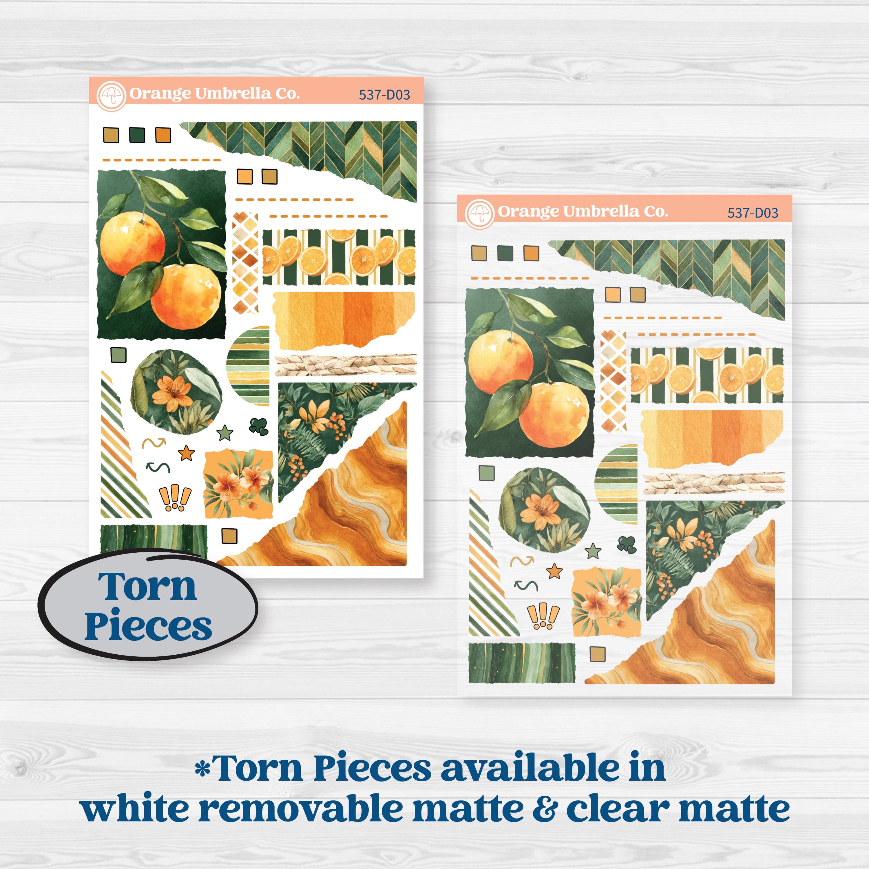 Orange Tropical Kit | Journaling or Scrapbooking Kit | Creative Junk Journal Planner Stickers | Valencia | KIT-537-D
